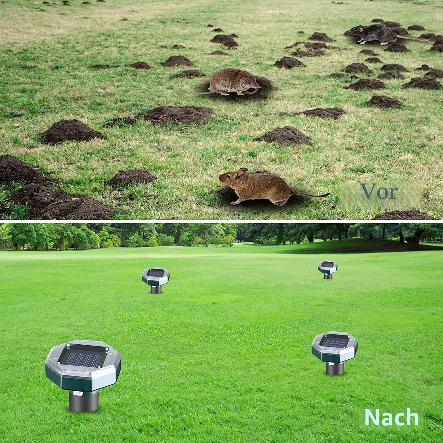 Maulwurf Vertreiber, Wasserfester Maulwurfsvertreiber Solar-Ultraschall Maulwurfschreck zur Vertreibung von Erdhörnchen, Maulwürfen und Wühlmäusen aus Gärten (8)