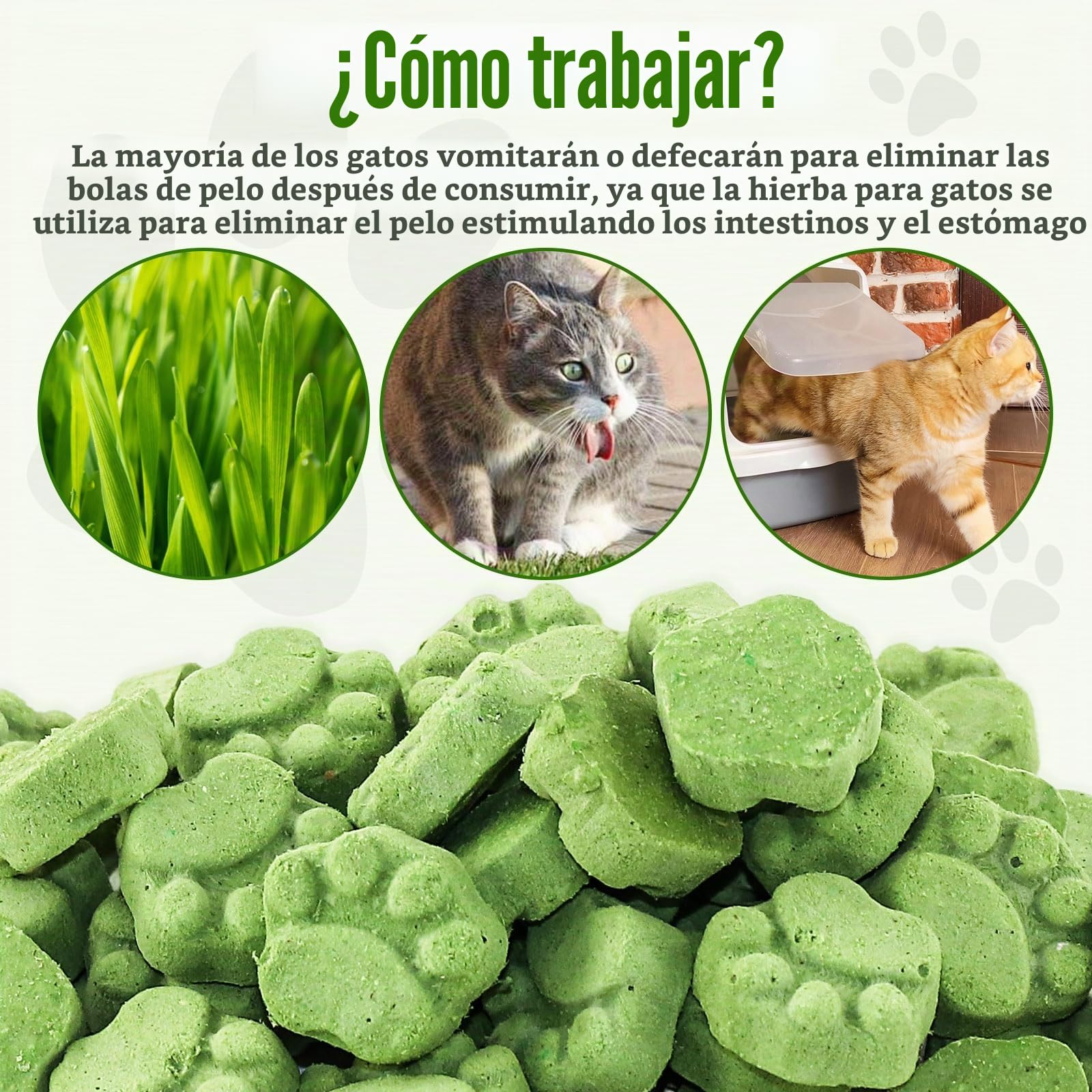 Golosina de Hierba Gatera para Gatos, 50g Snack Liofilizado con Hierba Gatera para Limpiar los Dientes