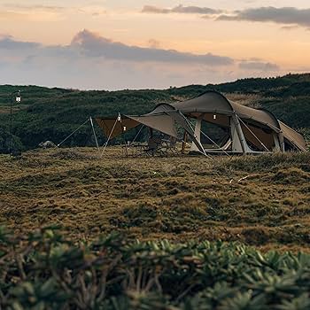 Amazon.co.jp: ZANE ARTS ゼインアーツ GIMORG ギモーグ DT-014