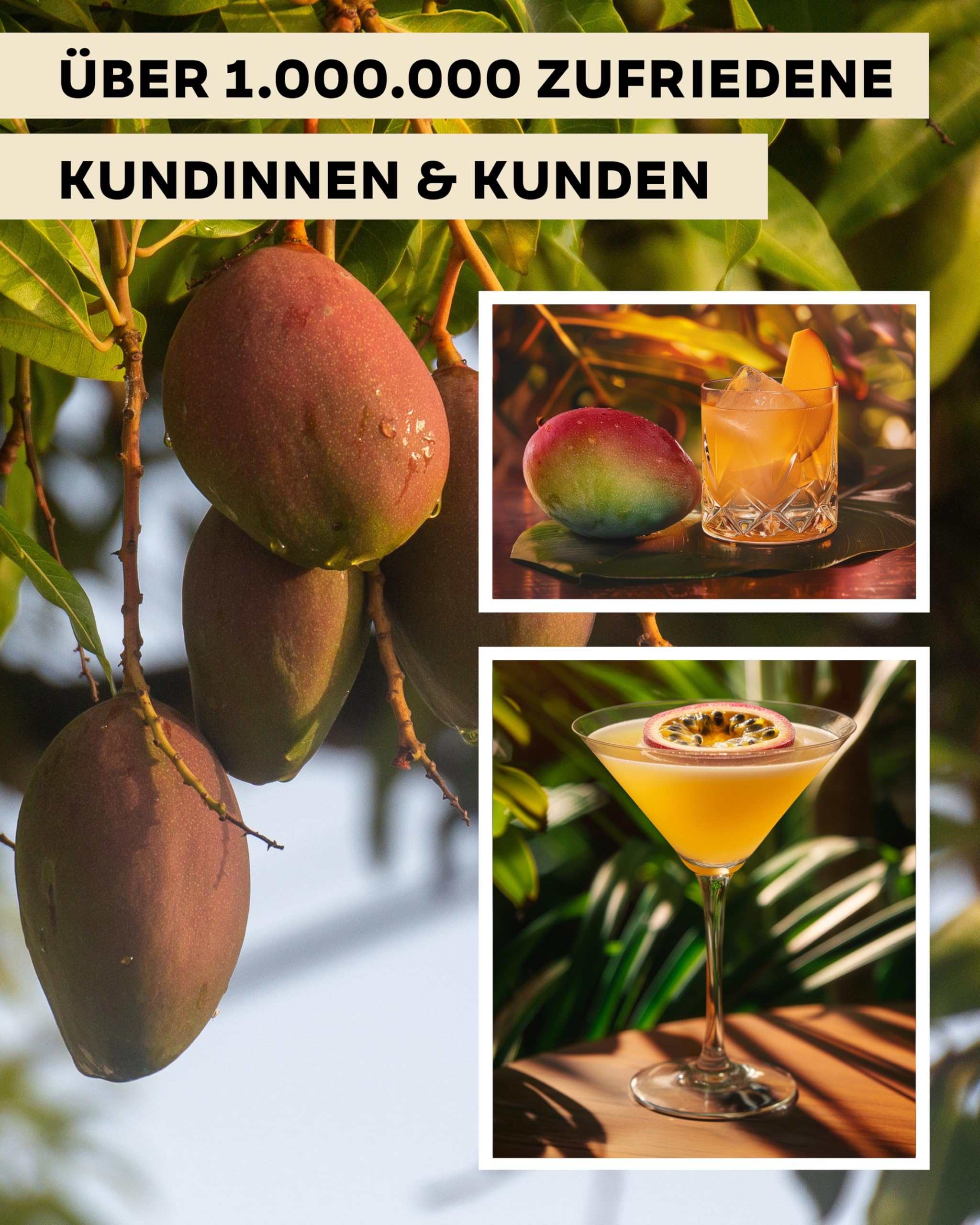 Quarantini Mango Gin (500 ml) – Key-Botanicals: reife Mango, spritzige Maracuja, fruchtige Orange, zarte Orangenblüte und Wacholder