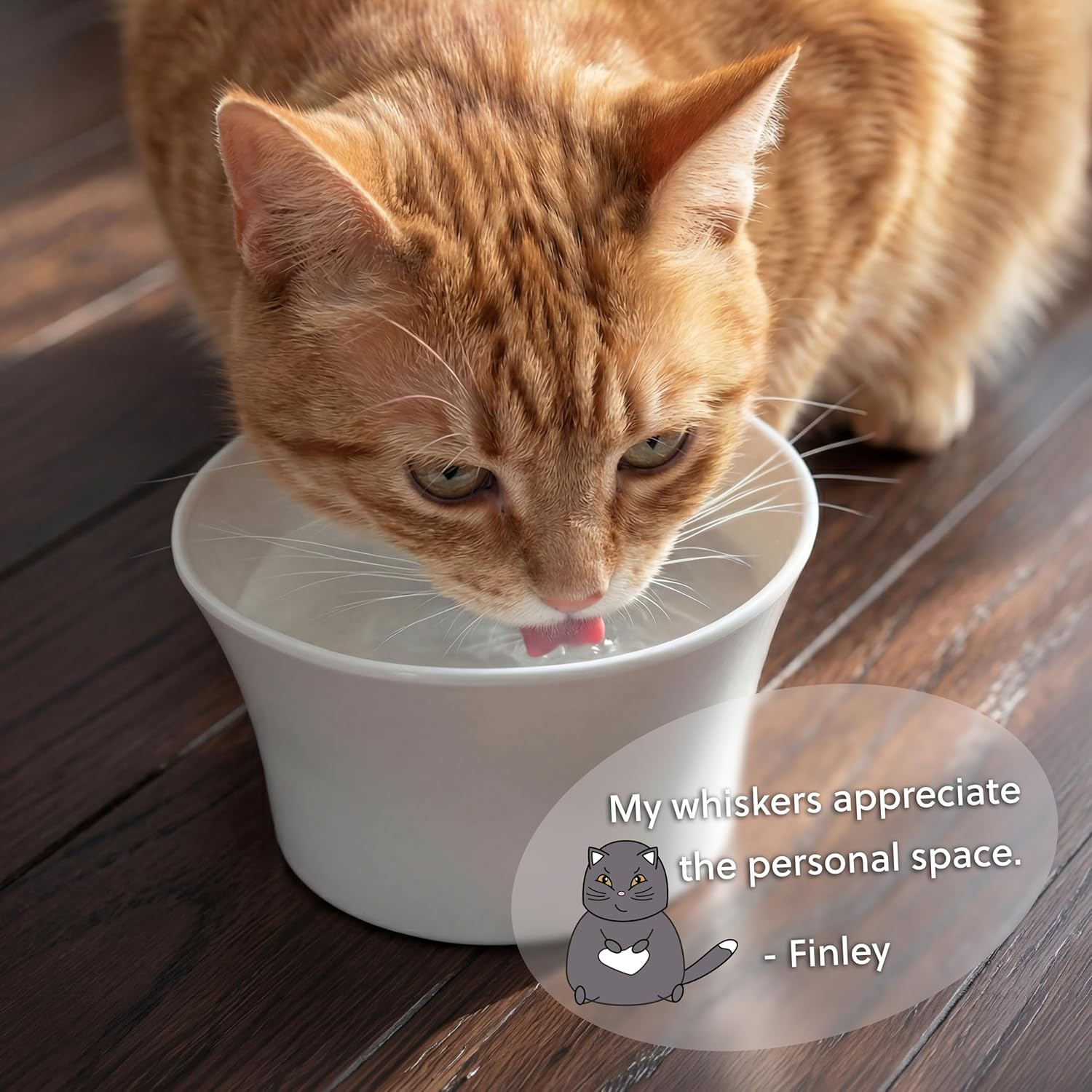 Elevated Cat Bowls for Water – Raised Bowl for Indoor Cats – Whisker & Neck Fatigue Shallow Cat Dishes – Vet-Recommended Height, Modern Pedestal Design – Non-Slip & Dishwasher-Safe – 8 oz Orange