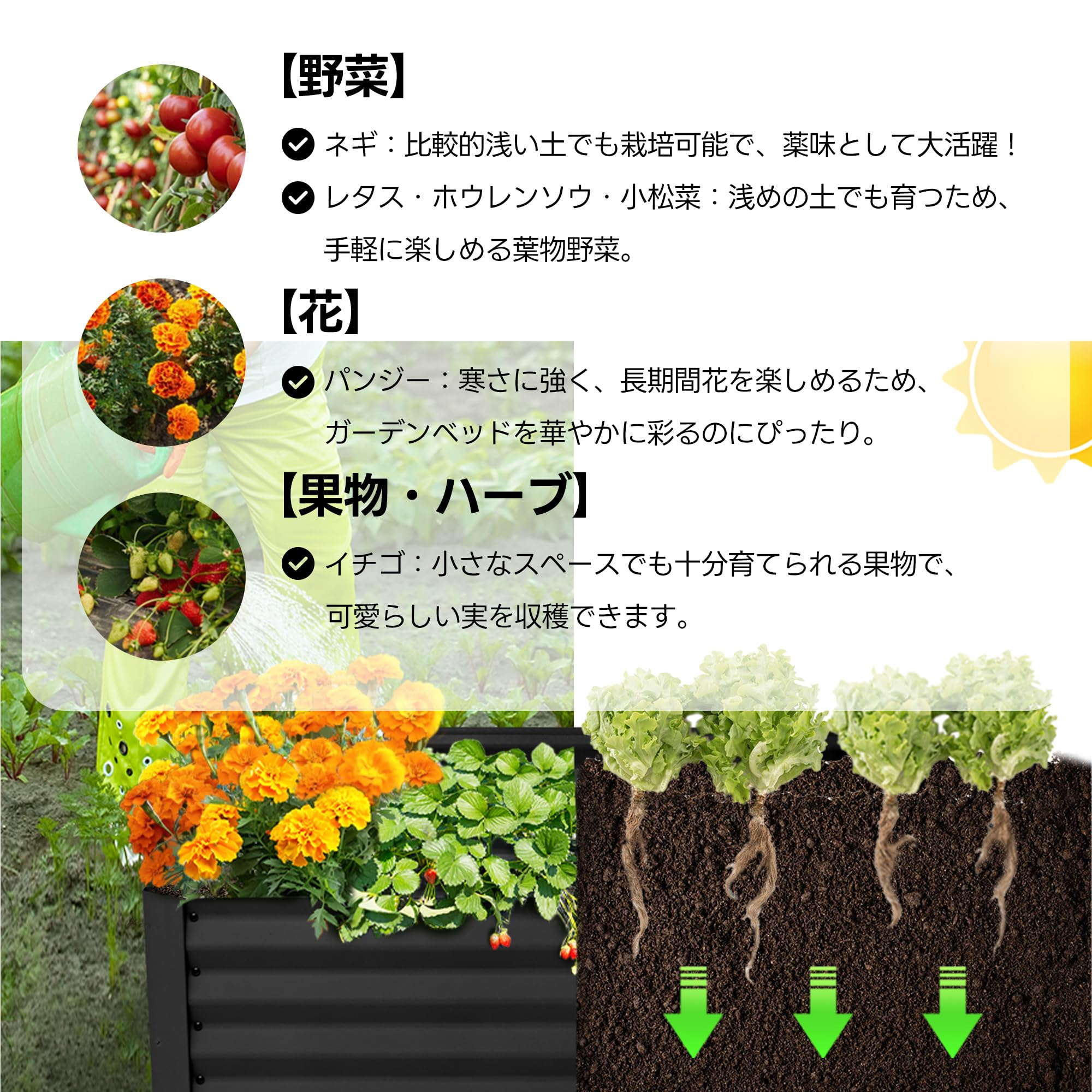 Amazon.co.jp: レイズドベッド 家庭菜園 ガーデンベッド プランター