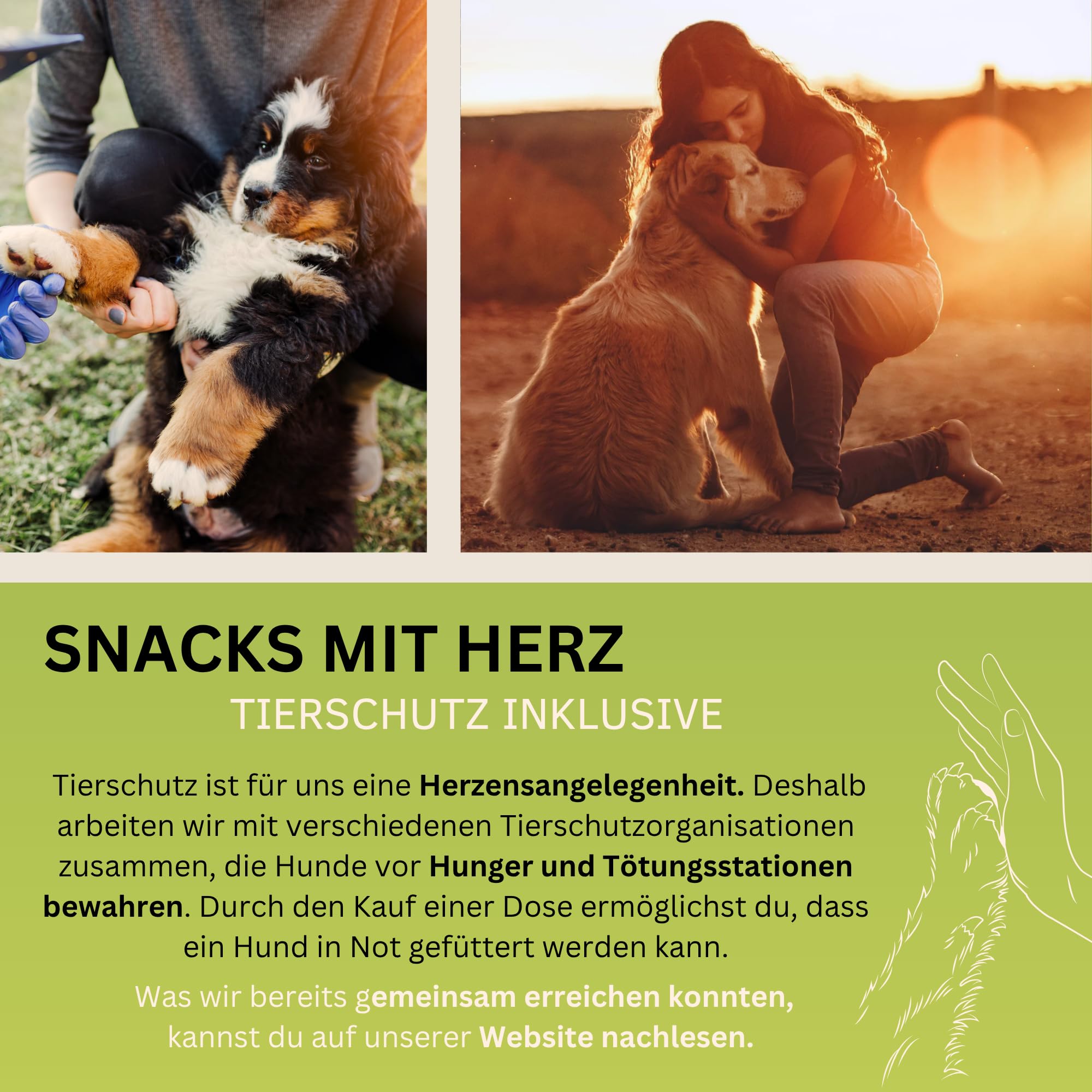 Verdauungs-Drops für Hunde mit Ulmenrinde I Für Normale Verdauung & Kotbeschaffenheit I Unterstützt Darmflora I I Mit Präbiotika & natürlich I ca. 120 STK.