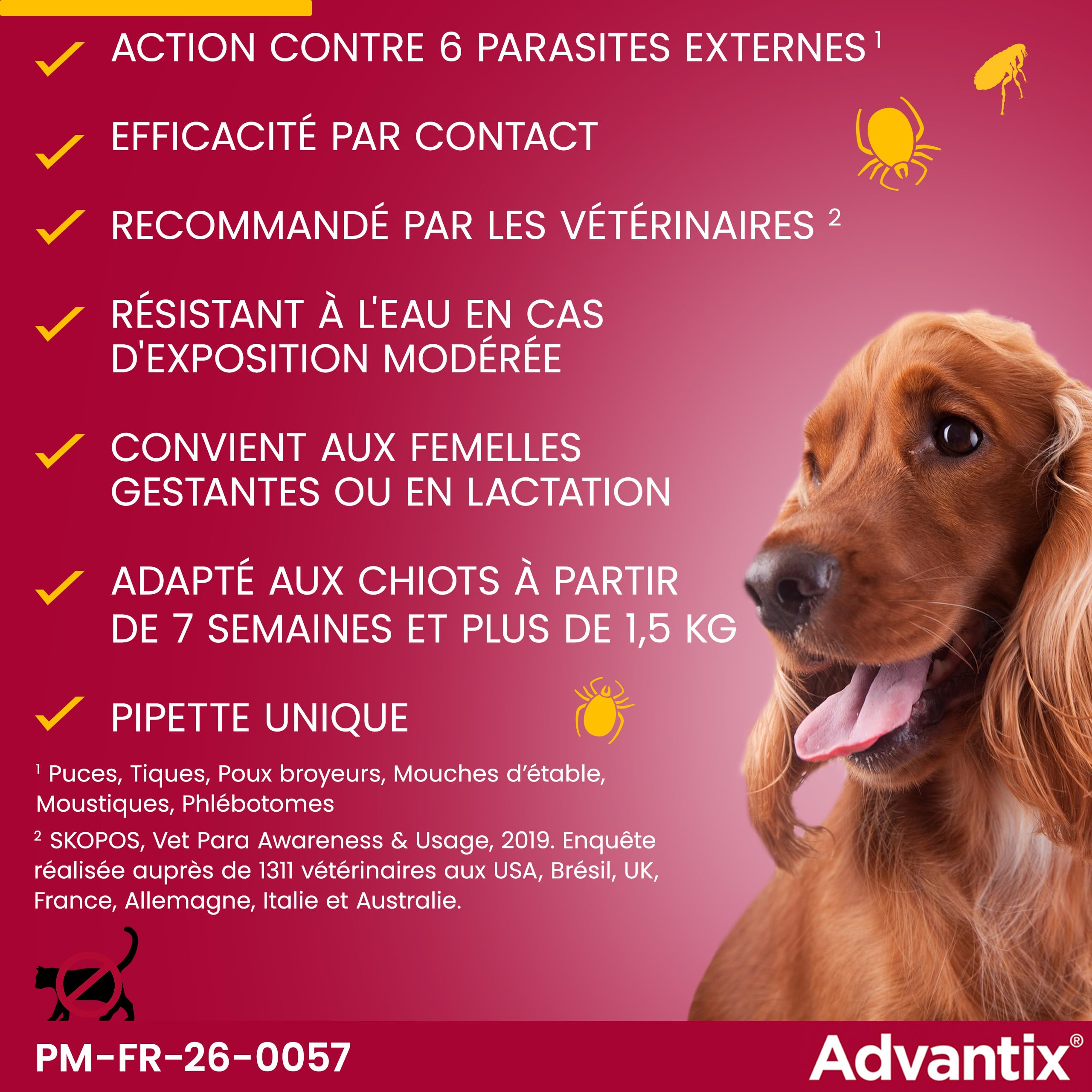 Advantix Très Petit Chien entre 1,5 et 4 kg – Pipettes pour chien contre 6 parasites – Traitement en pipette pour une protection en continu pendant 4 semaines – 6 x 0,4 ml
