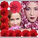 Collage de la foto del clavel
