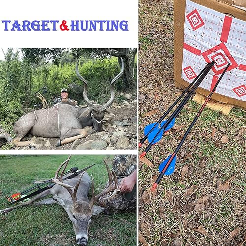 Miniatura 8 de Flecha de carbono de tiro con arco 28 29 30 pulgadas 300 340 350 400 columna vertebral práctica caza flechas para arco recurvo compuesto 12