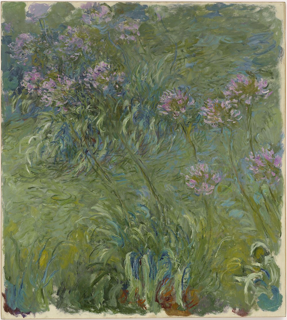 Lámina Agapanthus Green de Claude Monet, tamaño mediano mate con marco marrón