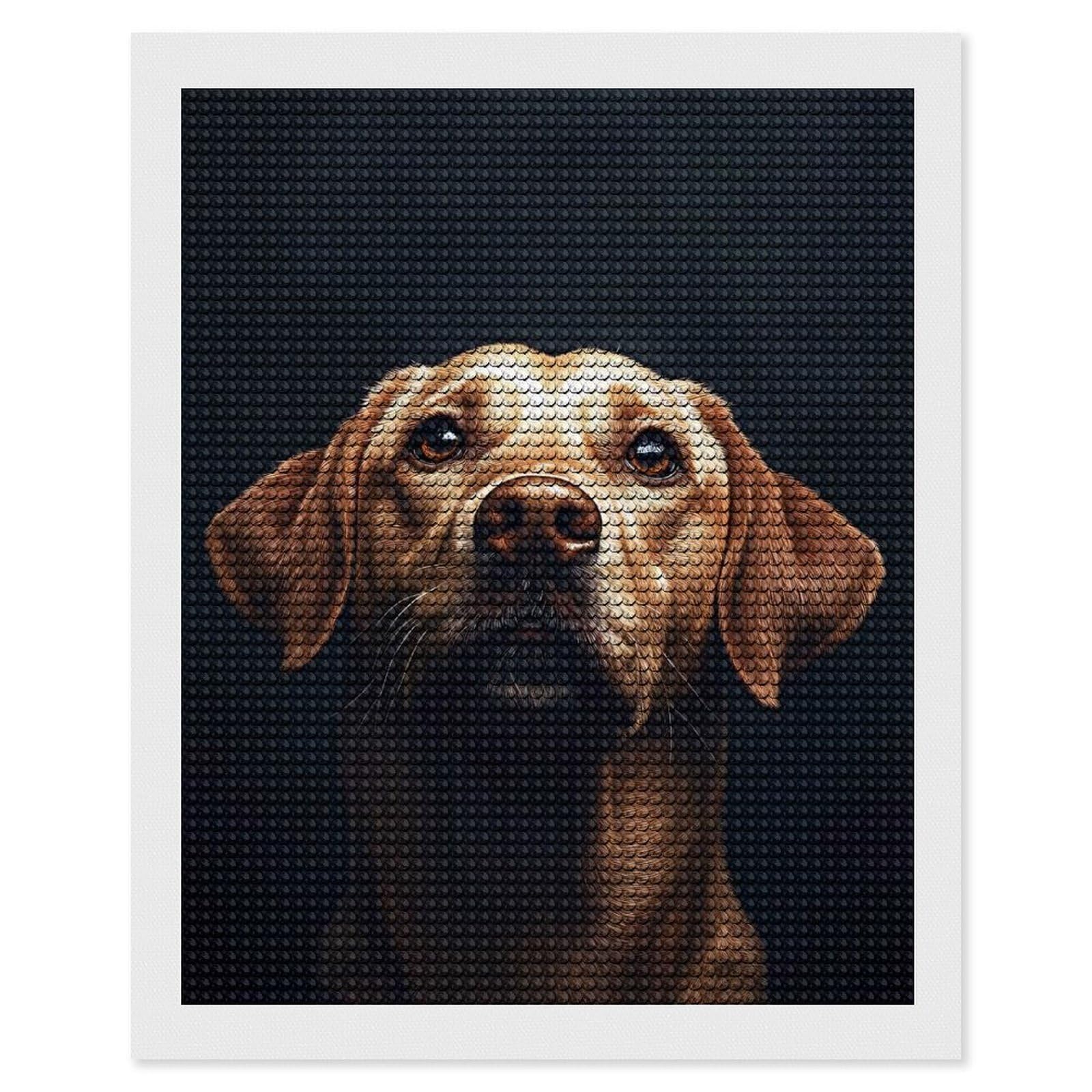 Junmoney Golden Labrador Portrait on Dark Background Diamond Painting Set 16"x20", Sparkling Round Gems, Decorate Your Room, Fun Craft Experience, Modern Decor