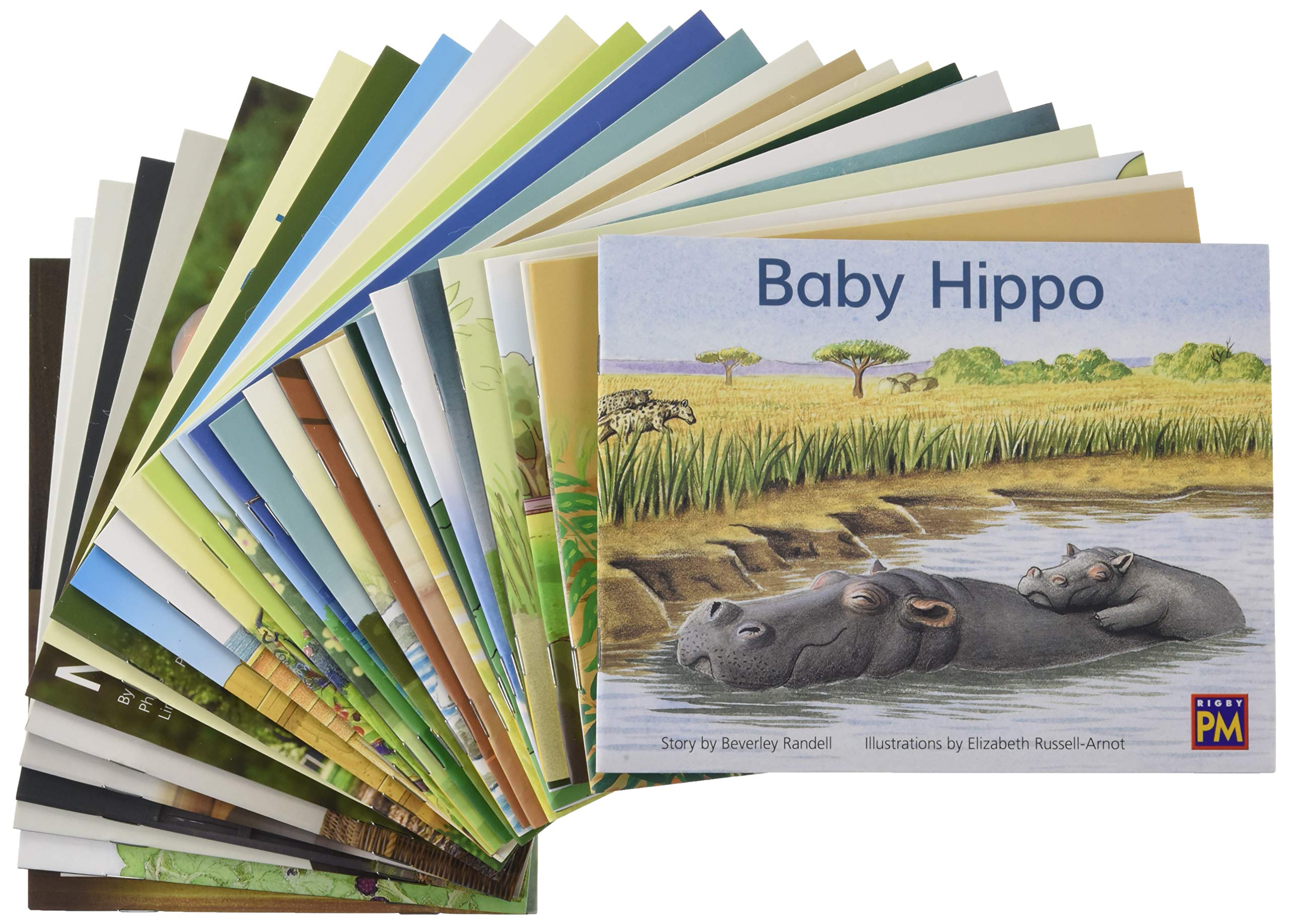 Yellow Levels 6-9 Add-to Package Grade 1 (Rigby Pm Collection)