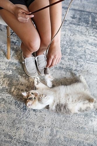 Miniatura 5 de OurPet's Play-N-Squeak Teathered & Feathered Play Wand - Juguete para gatos, para todos los tamaños de raza