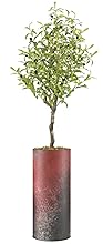 SIGNWIN Olive Tree with White, Red, Black & White Paint Splatter Color Block Vase Abstract Rocky Minimalism Zen Dramatic Multicolor Dark for Living Room, Bedroom, Office - X-Large 5 Feet (60