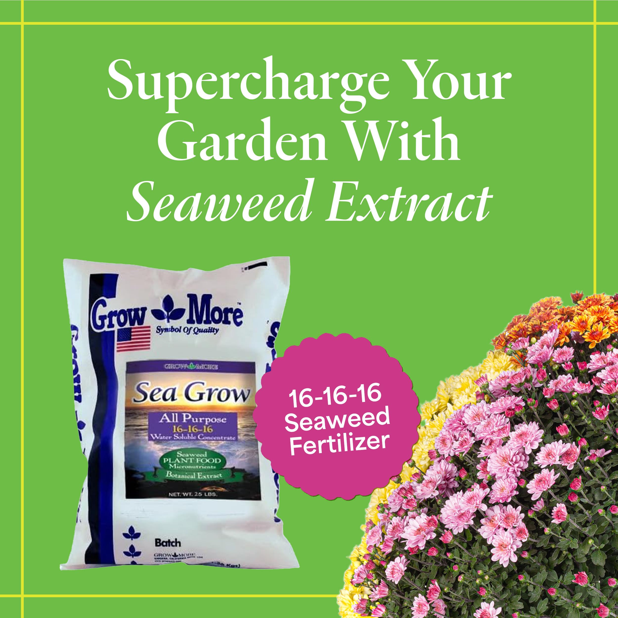 Amazon.com: Grow More Sea Grow Kelp Fertilizer - 25lbs of 16-16-16  Water-Soluble, All-Purpose Plant Food - Nutrient-Rich, Seaweed Fertilizer -  Outdoor & Indoor Plant Food : Patio, Lawn & Garden