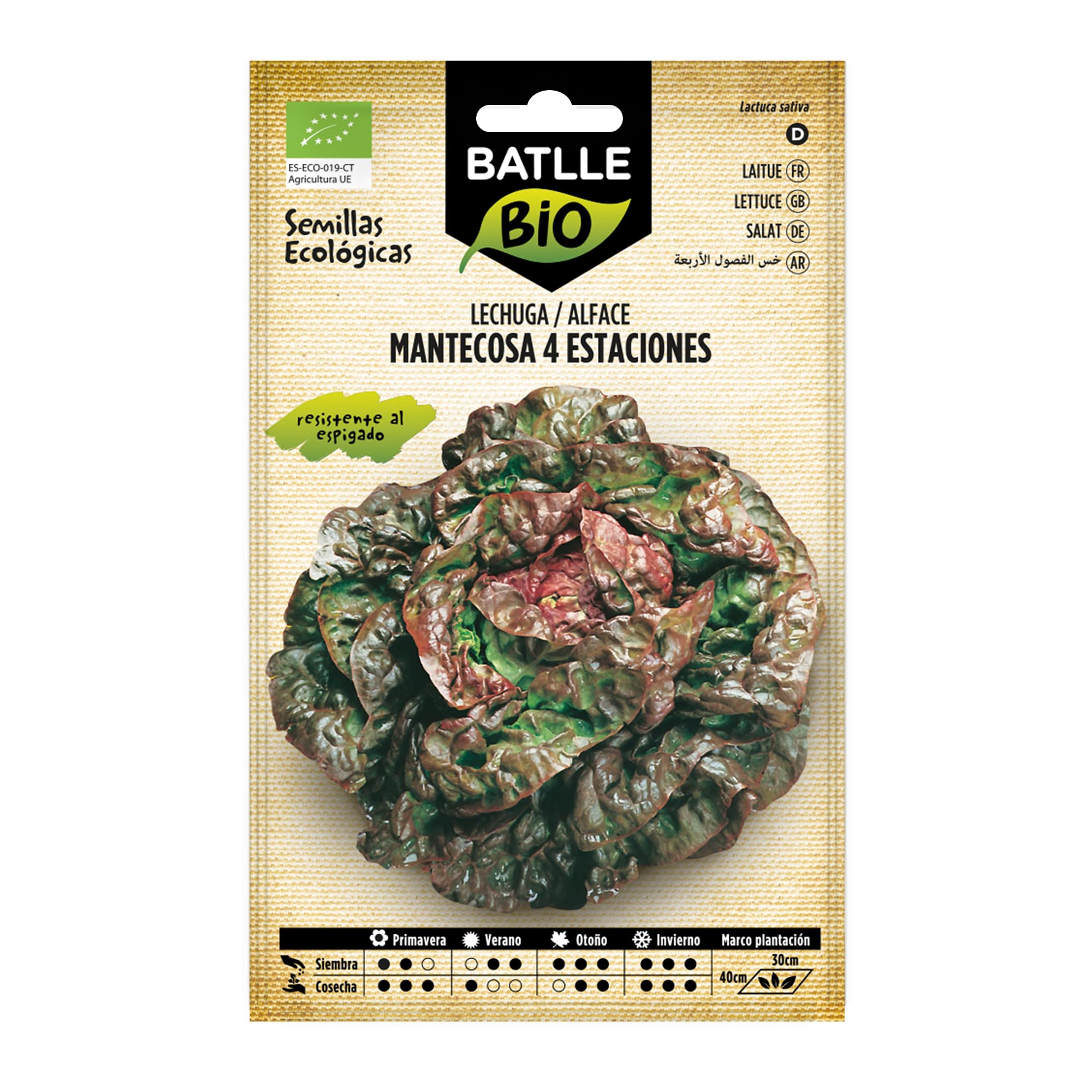 Bio nasiona - sałata na cztery pory roku (400 nasion - organiczna)