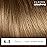 Clairol ColorStrong Permanent Zero Ammonia Hair Dye, 6.3 Light Golden Brown - Cairo Hair Color, Pack of 1