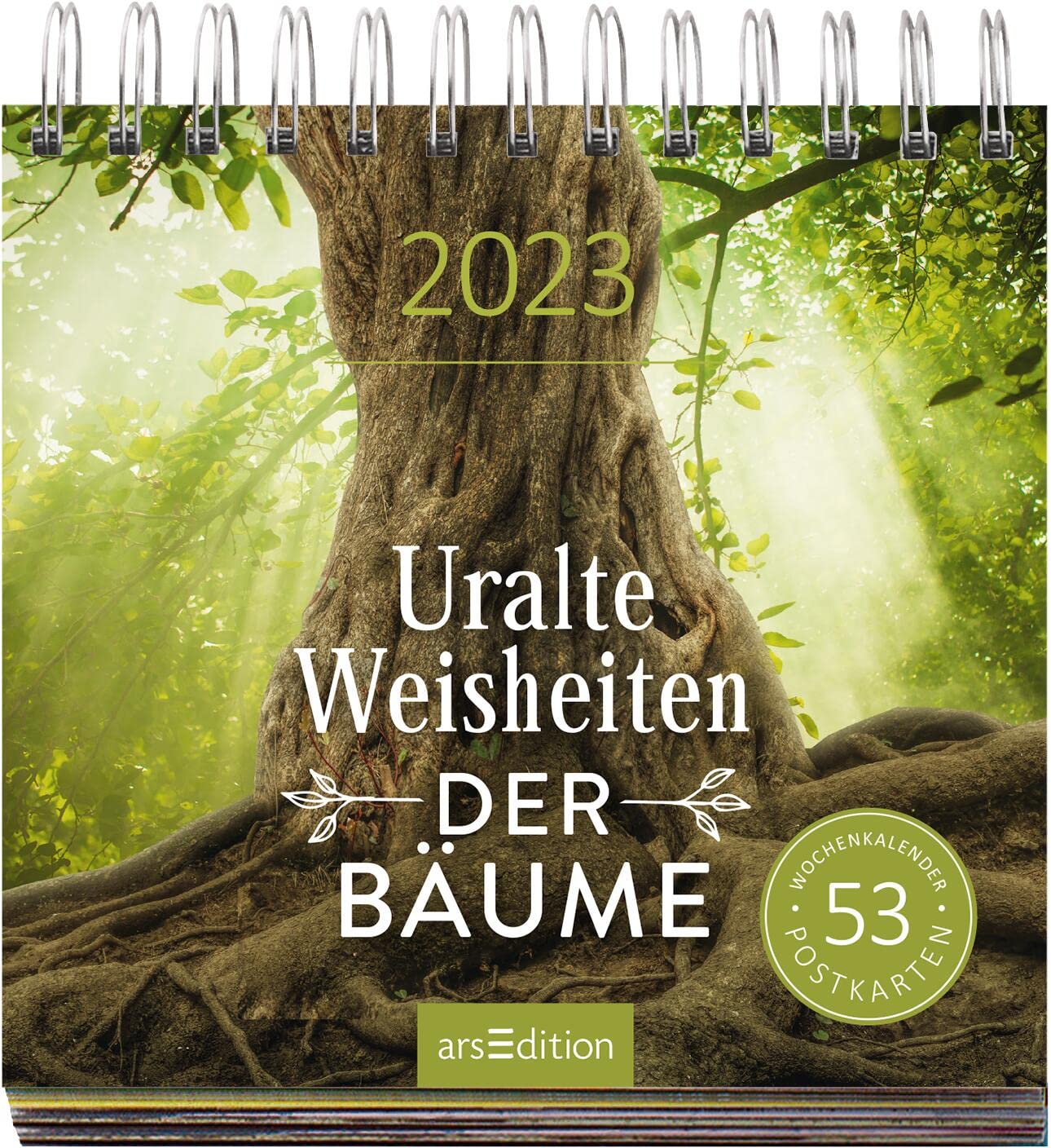 Display Postkartenkalender 2023: Mit 20 x 3 Ex. | Wochenkalender 2023, 53 Postkarten zum Abtrennen und Verschicken