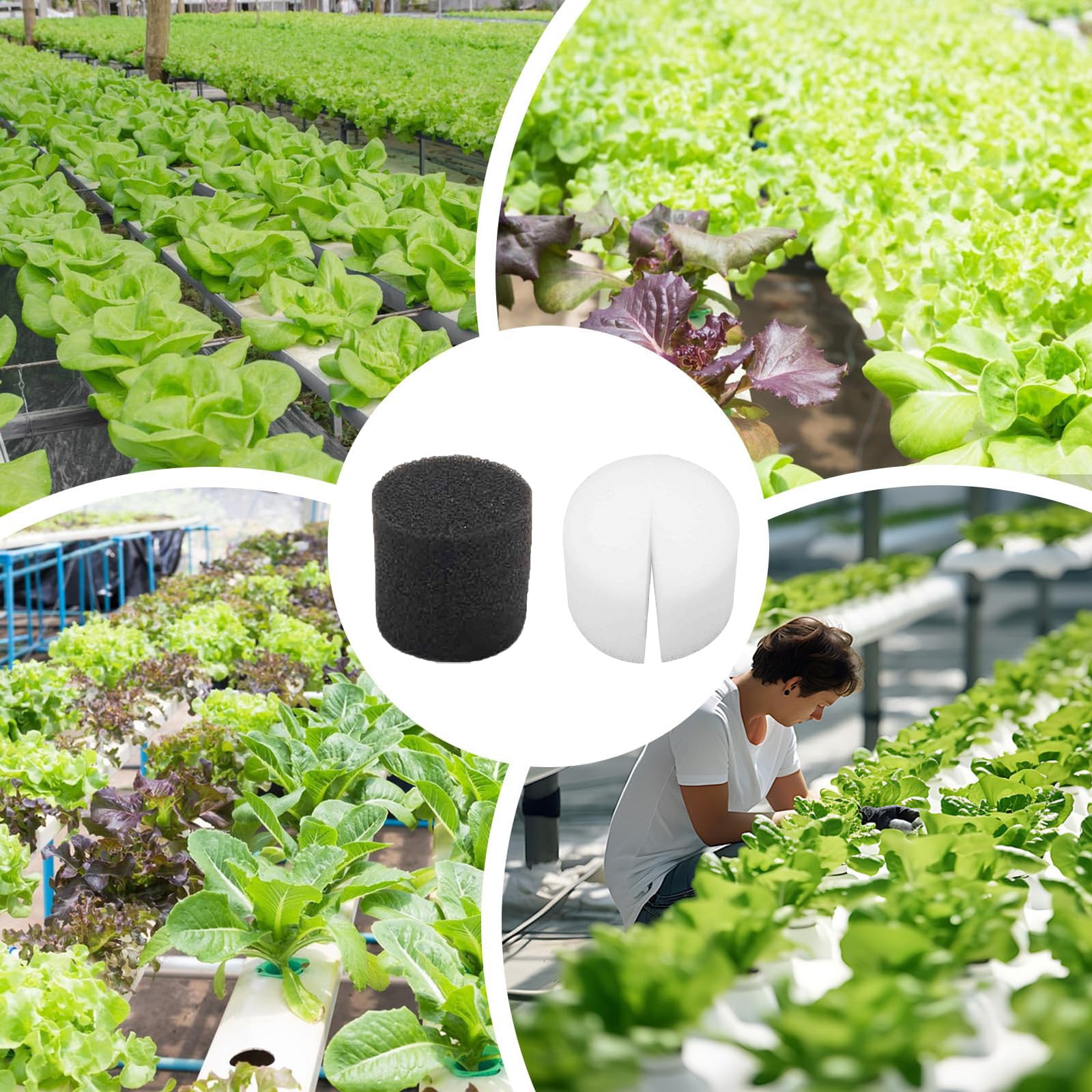 50 Piezas 32 * 30mm Esponja Hidropónica, Soilless Hydroponics, Plantar Herramientas de Esponja, Esponjas Hidropónicas Sin Tierra, para Cultivar Hortalizas y Flores