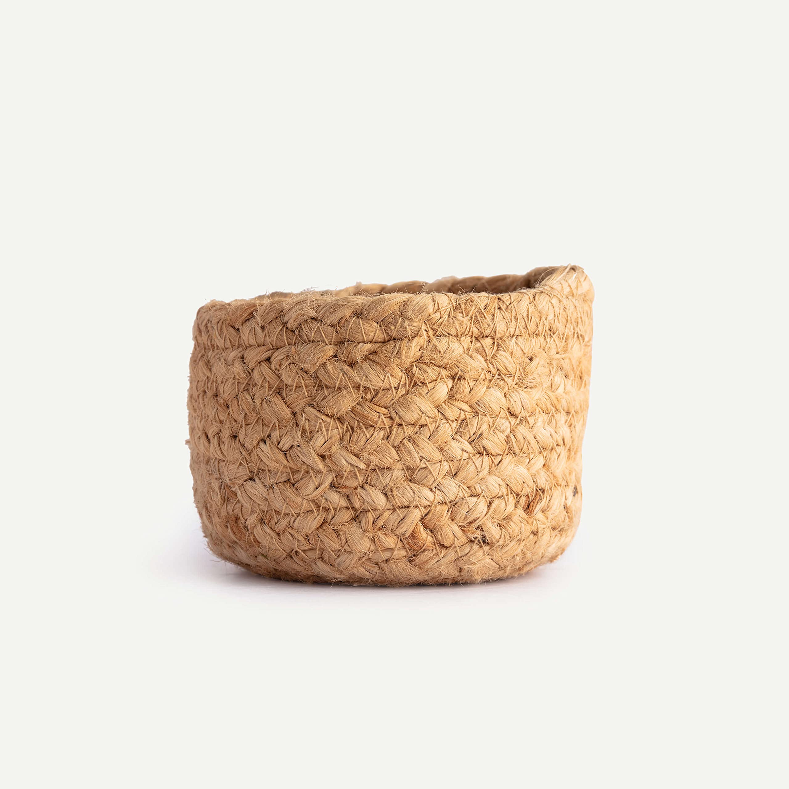 Ikai Asai-Grass Pen Holder