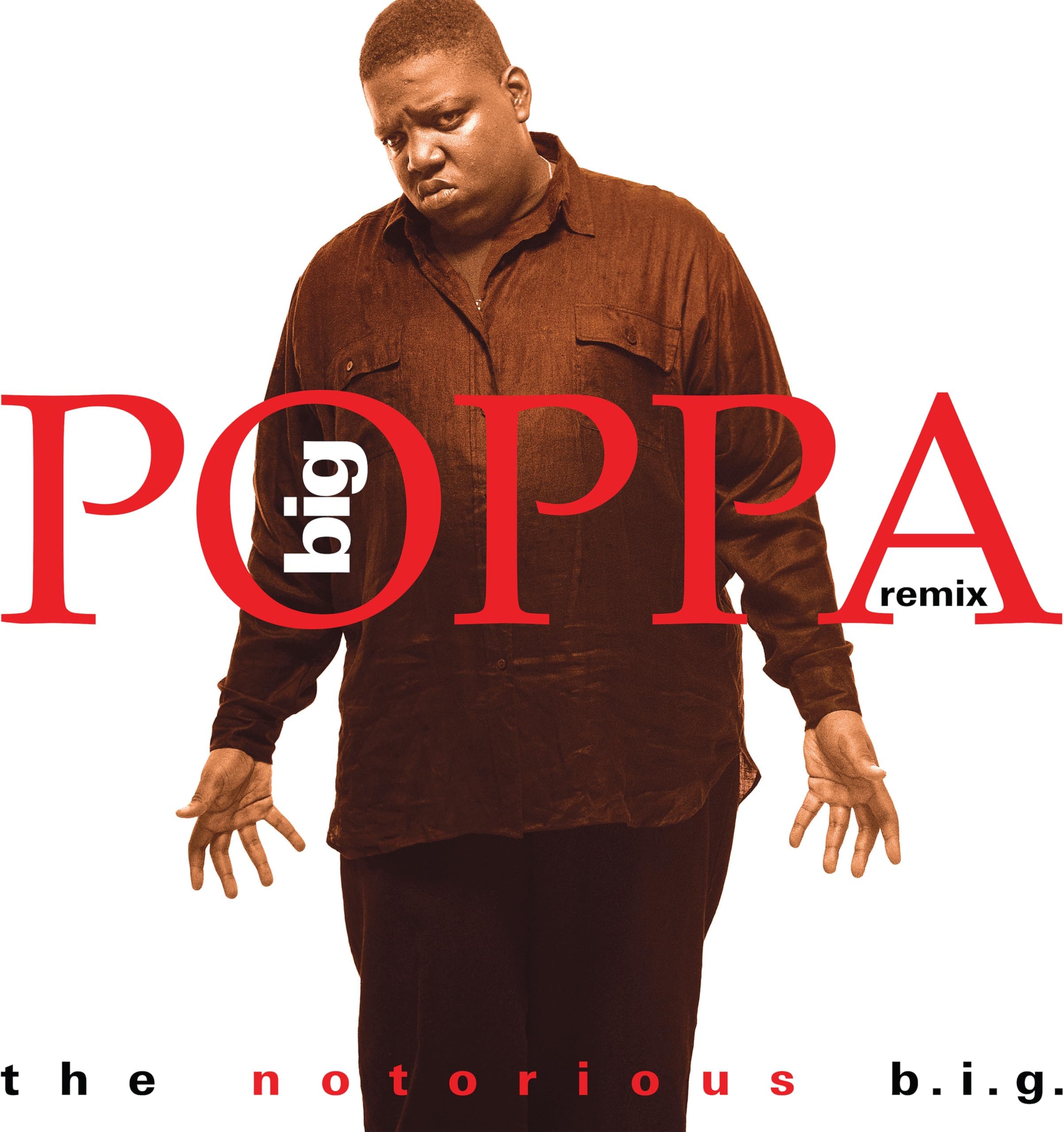 Big Poppa (Remix)