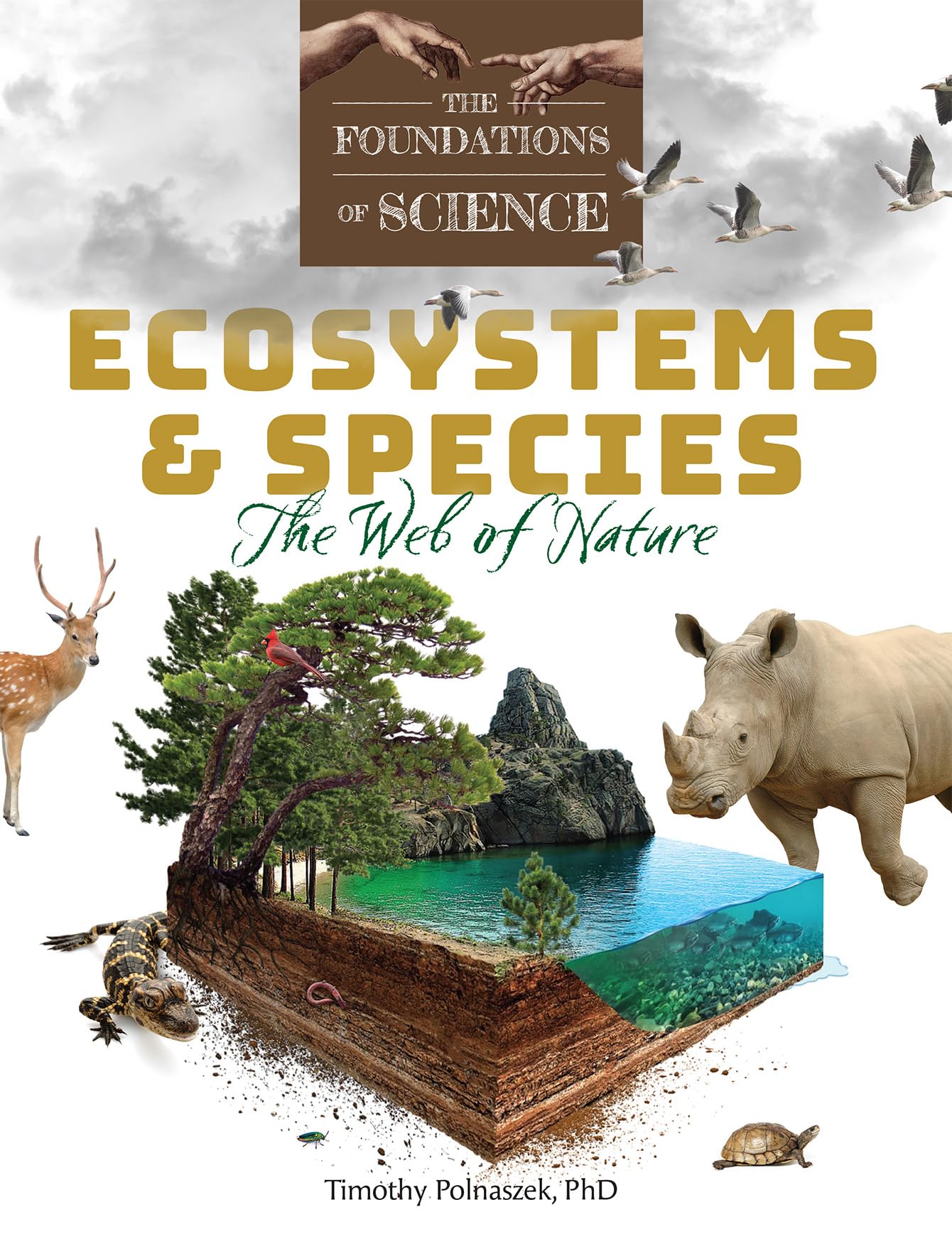 Ecosystems & Species: The Web of Nature (The Foundations of Science)