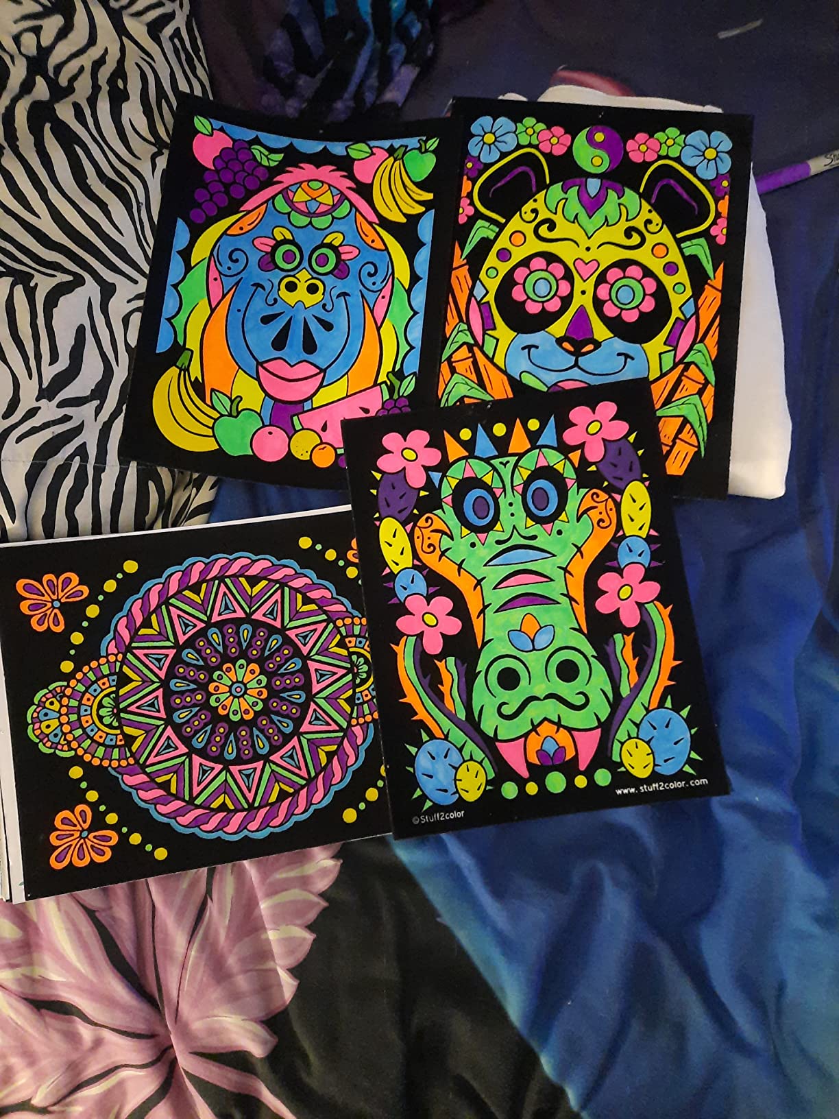 Amazon.com: Stuff2Color Amazing Animals - 6 Pack of Fuzzy Black Velvet ...