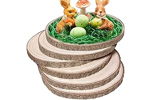 6 Pack Unfinished Wood Slices for Crafts, DIY and Home Decor Projects