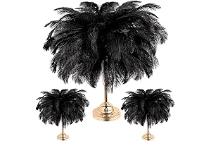 Large Natural Black Ostrich Feathers 18-20 Inches in Bulk for Centerpieces and Home Decor