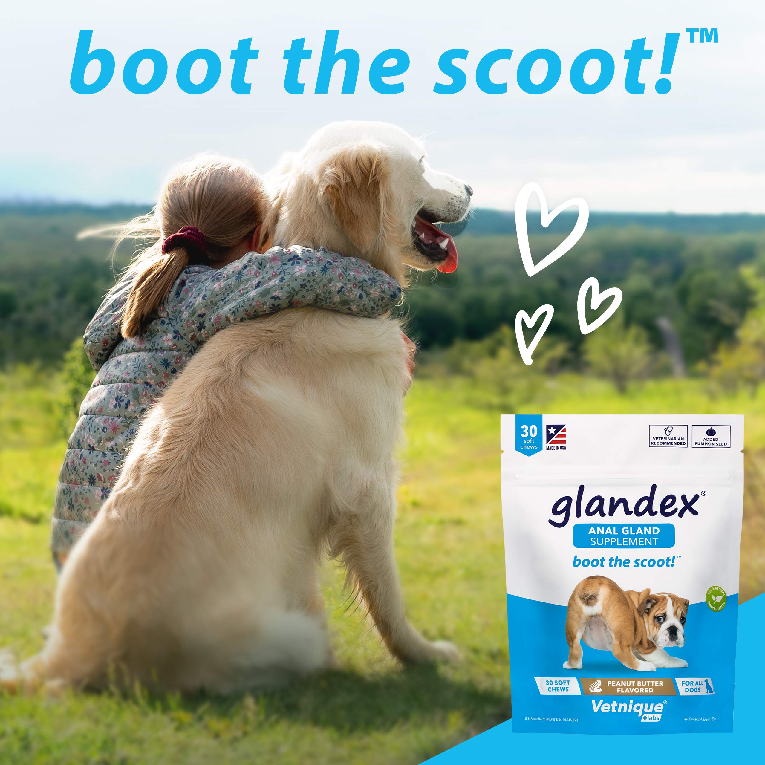 glandex dog chews