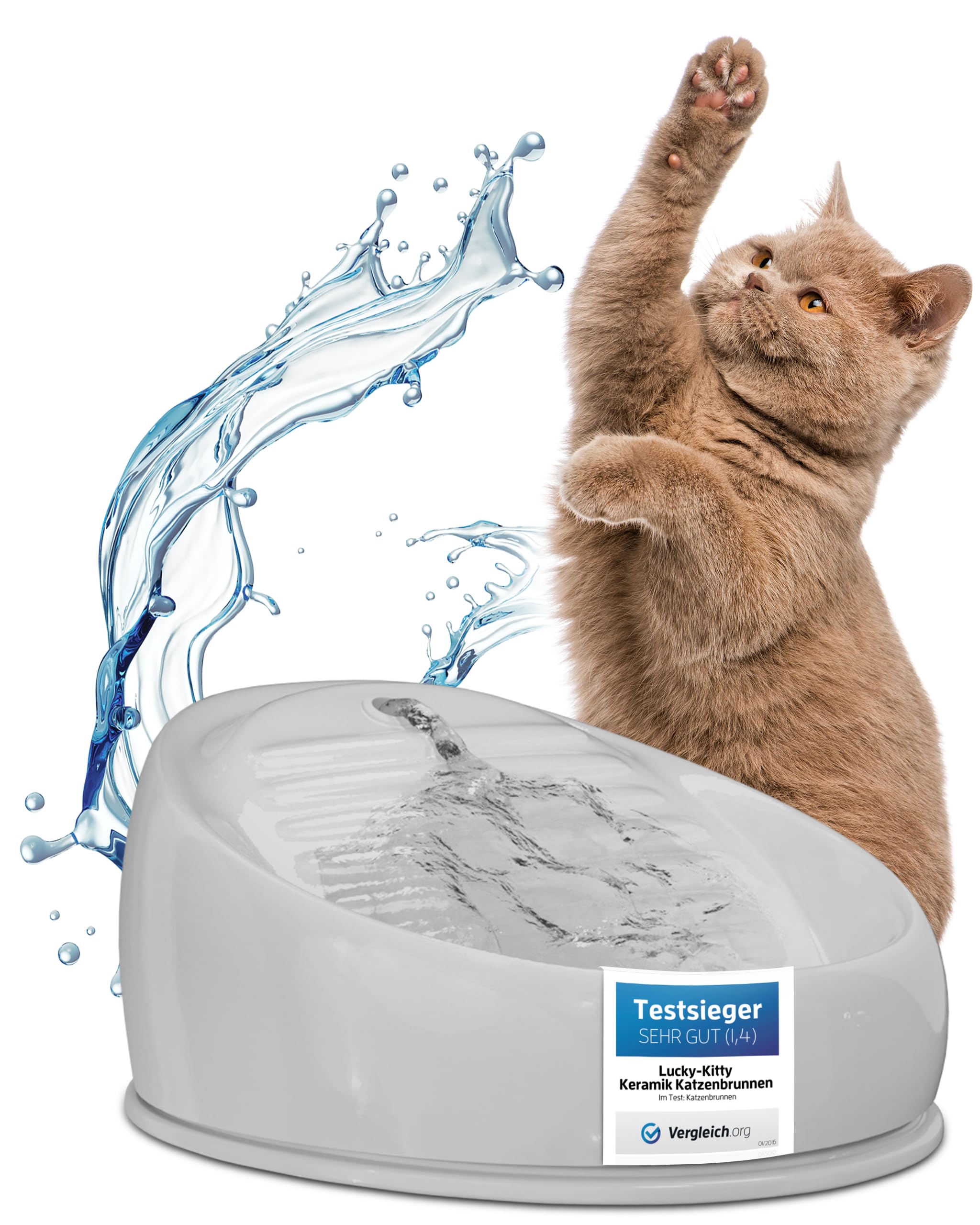 Lucky-Kitty- fontana in ceramica per gatti
