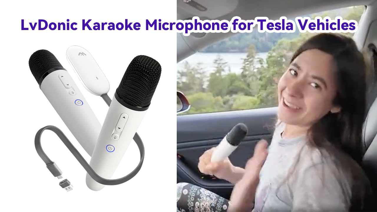 Amazon.com: LvDonic Karaoke Microphone for Tesla Model Y/3/S/X