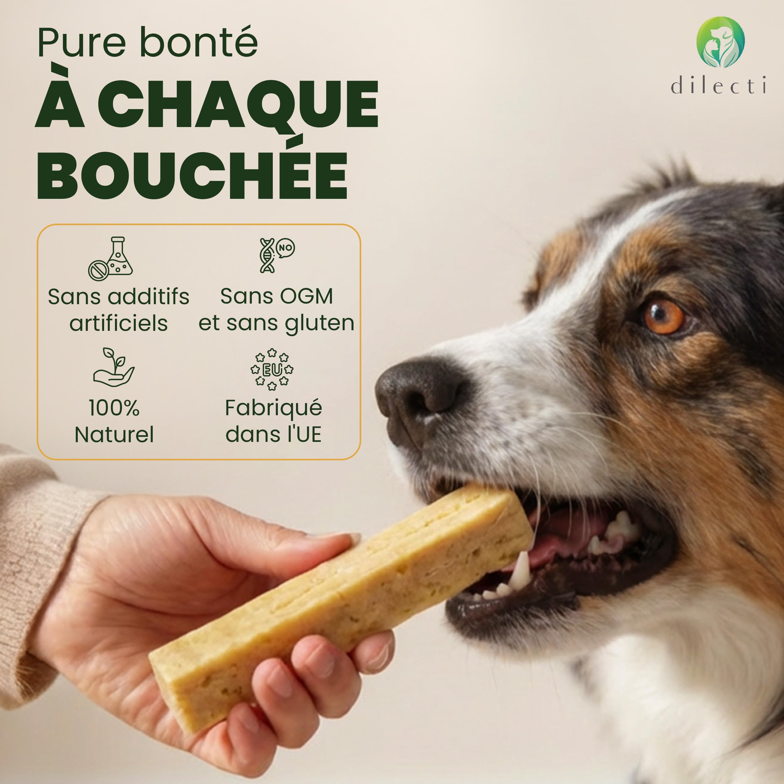 Os à mâcher au fromage naturel - Friandises à mâcher longue durée pour grands chiens, friandises pour chiens pour les soins dentaires, jouets à mâcher en fromage dur - Taille L, paquet de 3