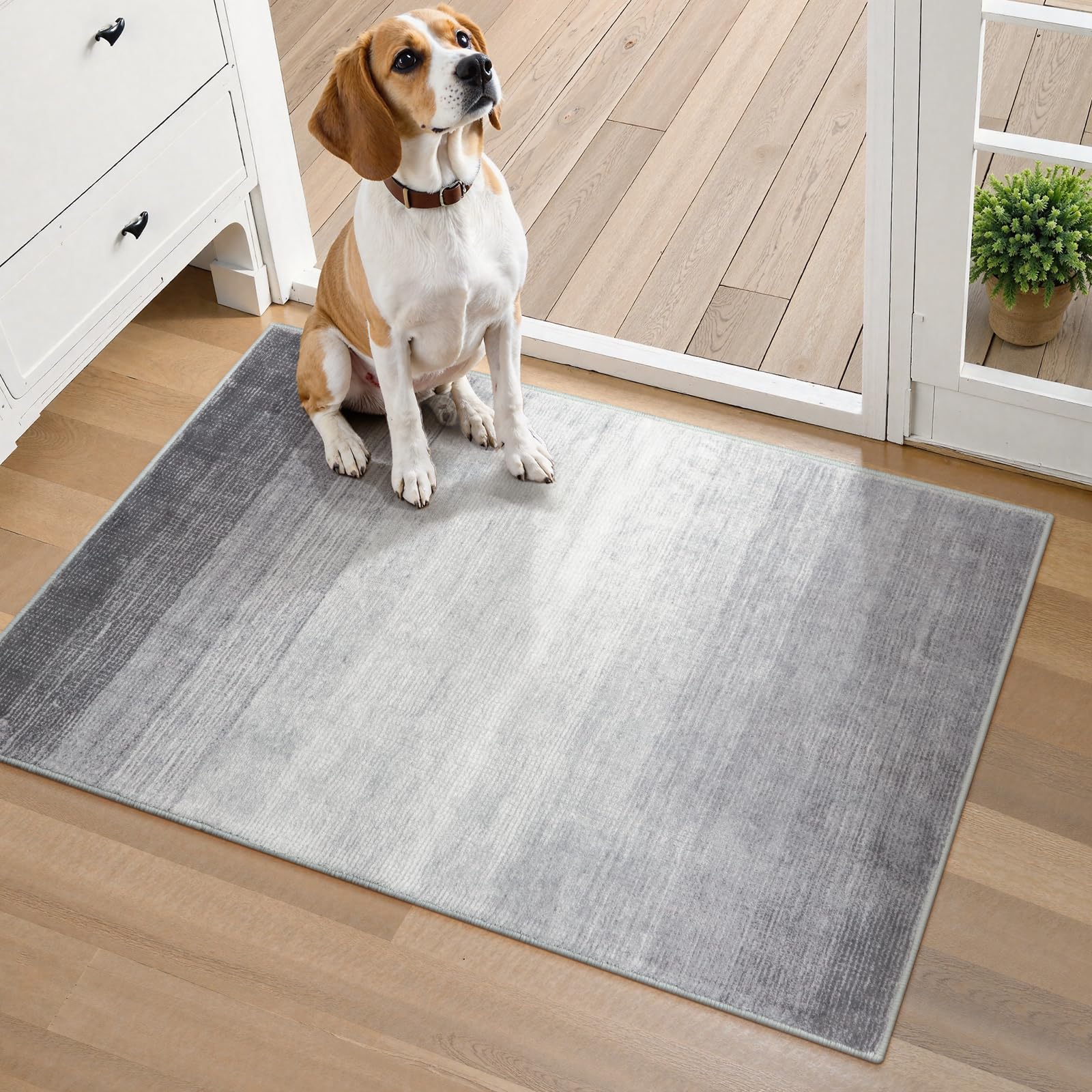 Wonnitar Modern Ombre Small 2x3 Entryway Rug, Washable Grey Front Door Mat, Non-Slip Contemporary Kitchen Accent Mat Gradient Faux Wool Indoor Floor
