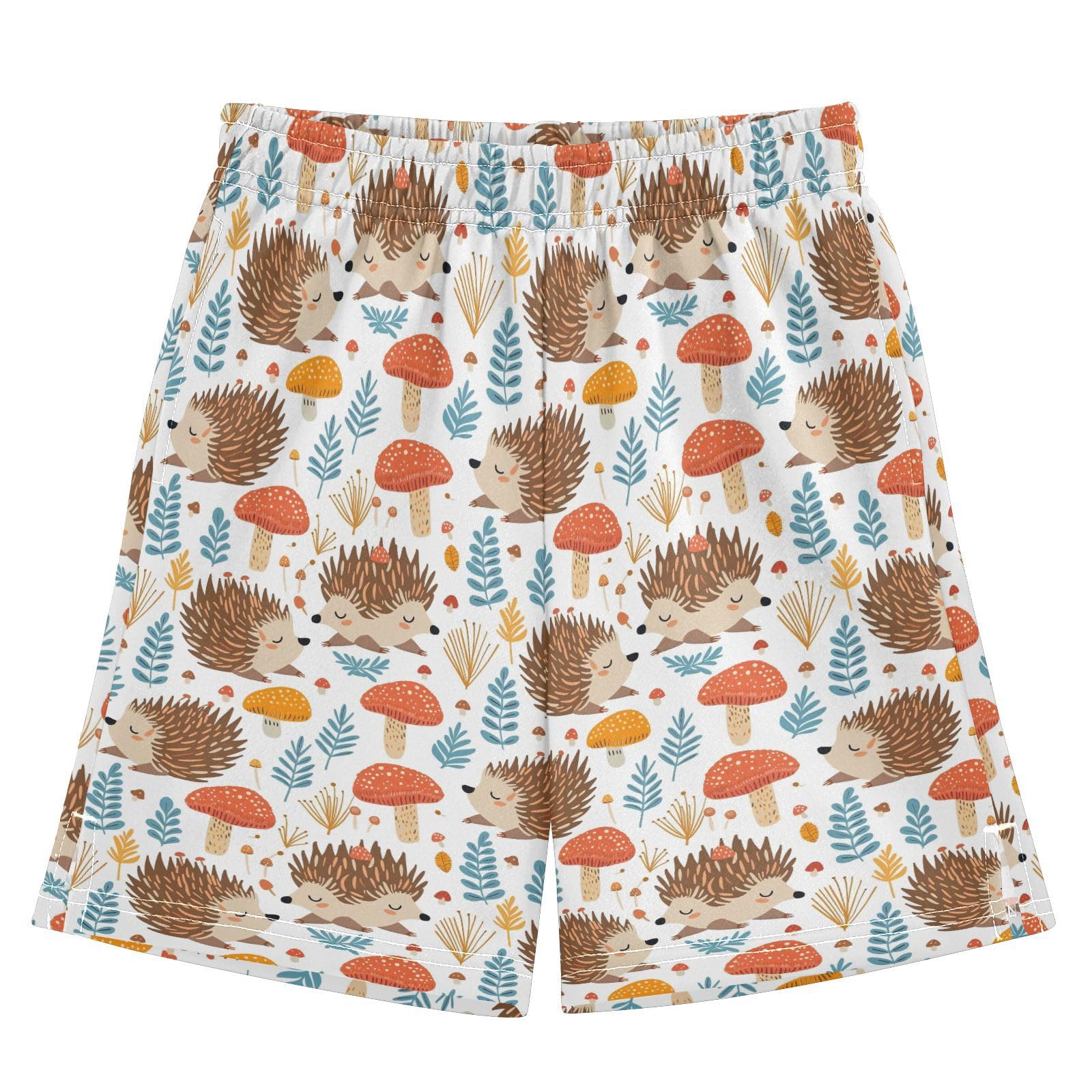 panksolu boy Shorts Hedgehog Cute Youth Athletic Shorts for Boys and Girls 10-11 Y Multicolor