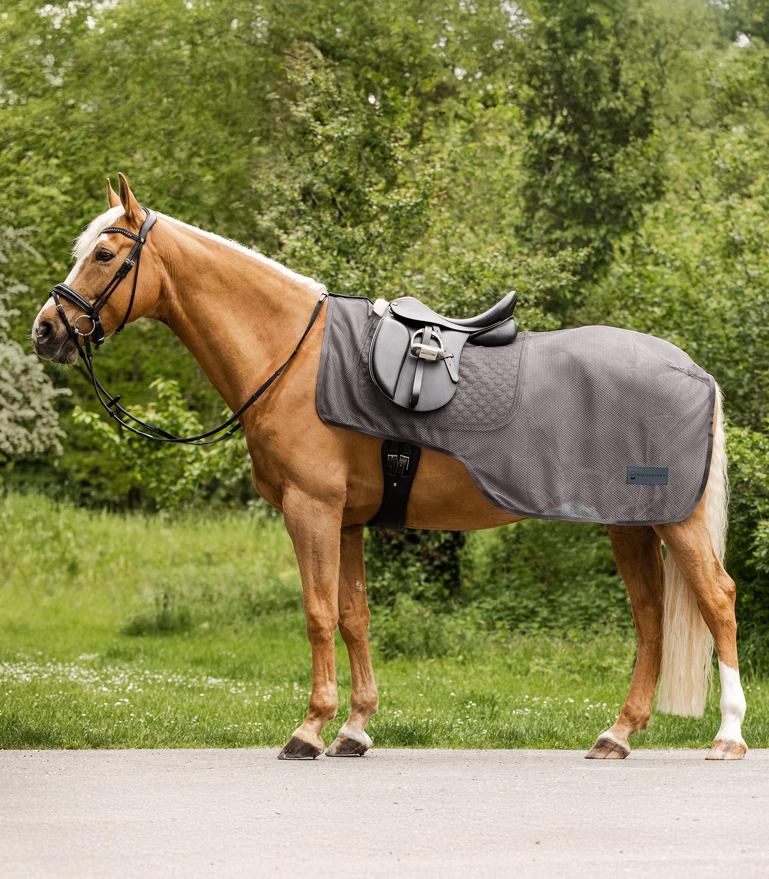Waldhausen Fliegenausreitdecke Comfort grau, 155 cm