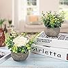 Product Photo 3