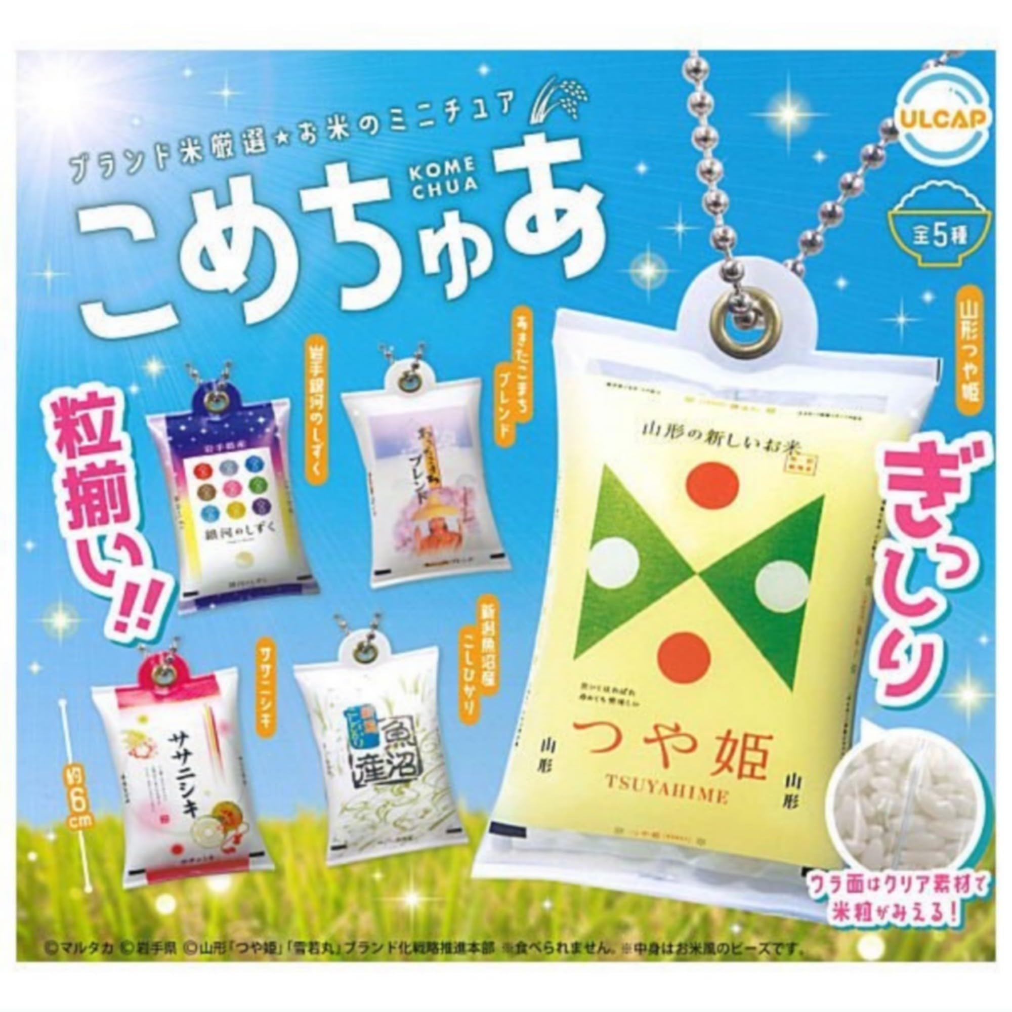 Amazon | こめちゅあ × 全5種セット フルコンプ ガチャガチャ
