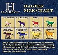 Vista 2 de Hamilton Caballo árabe de nailon de 3/4 pulgadas con barbilla ajustable y broche de garganta, promedio, 800 a 1100 libras, azul