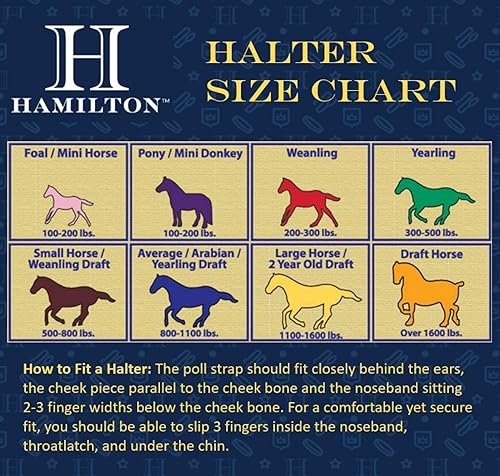 Miniatura 2 de Hamilton Cabestro de caballo de calidad ajustable de nailon de 1 pulgada con barbilla ajustable, tamaño pequeño Azul baya,Negro -,Azul,Verde