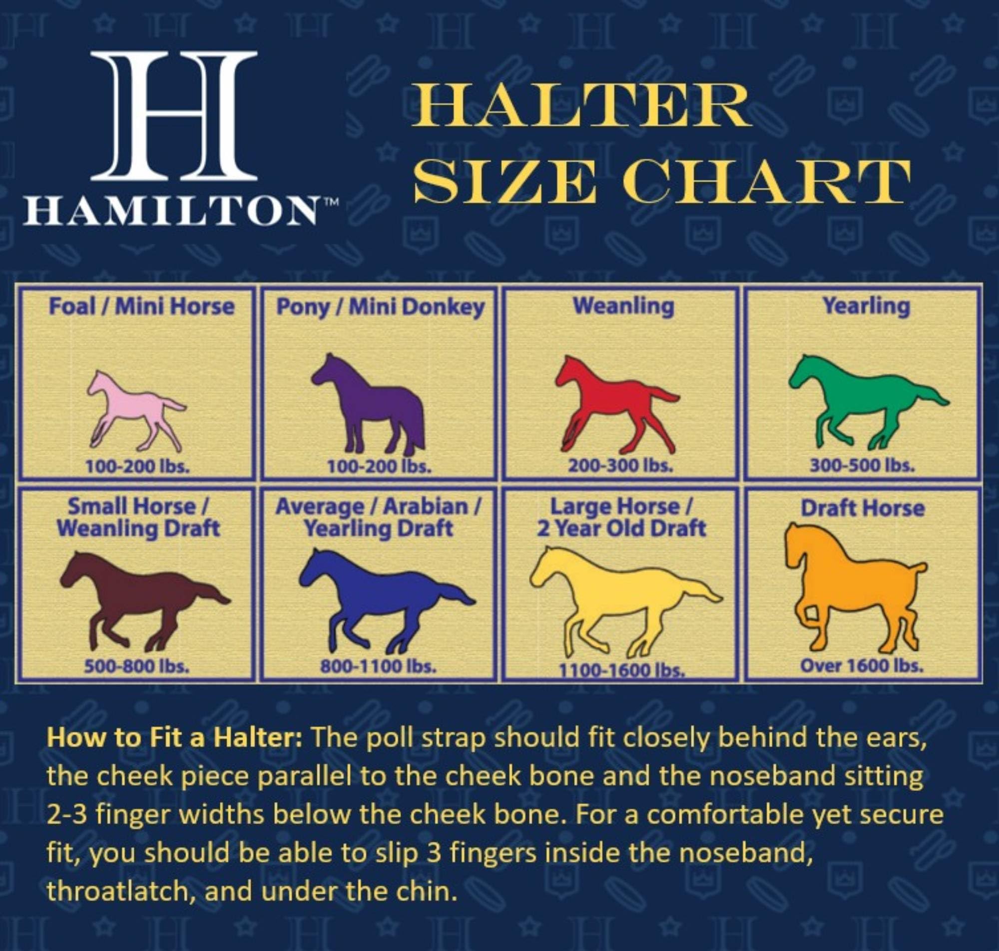 Hamilton Nylon-Halfter mit verstellbarem Kinn, 2,5 cm, Average, 800-1100 Pounds, Marineblau