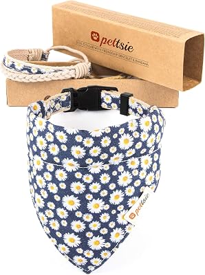 Pettsie Hemp Dog Bandana Collar & Matching Owner Friendship Bracelet | Adjustable, Durable Hemp, Soft & Comfortable, Secure D-Ring, Matching Friendship Bracelet, Blue