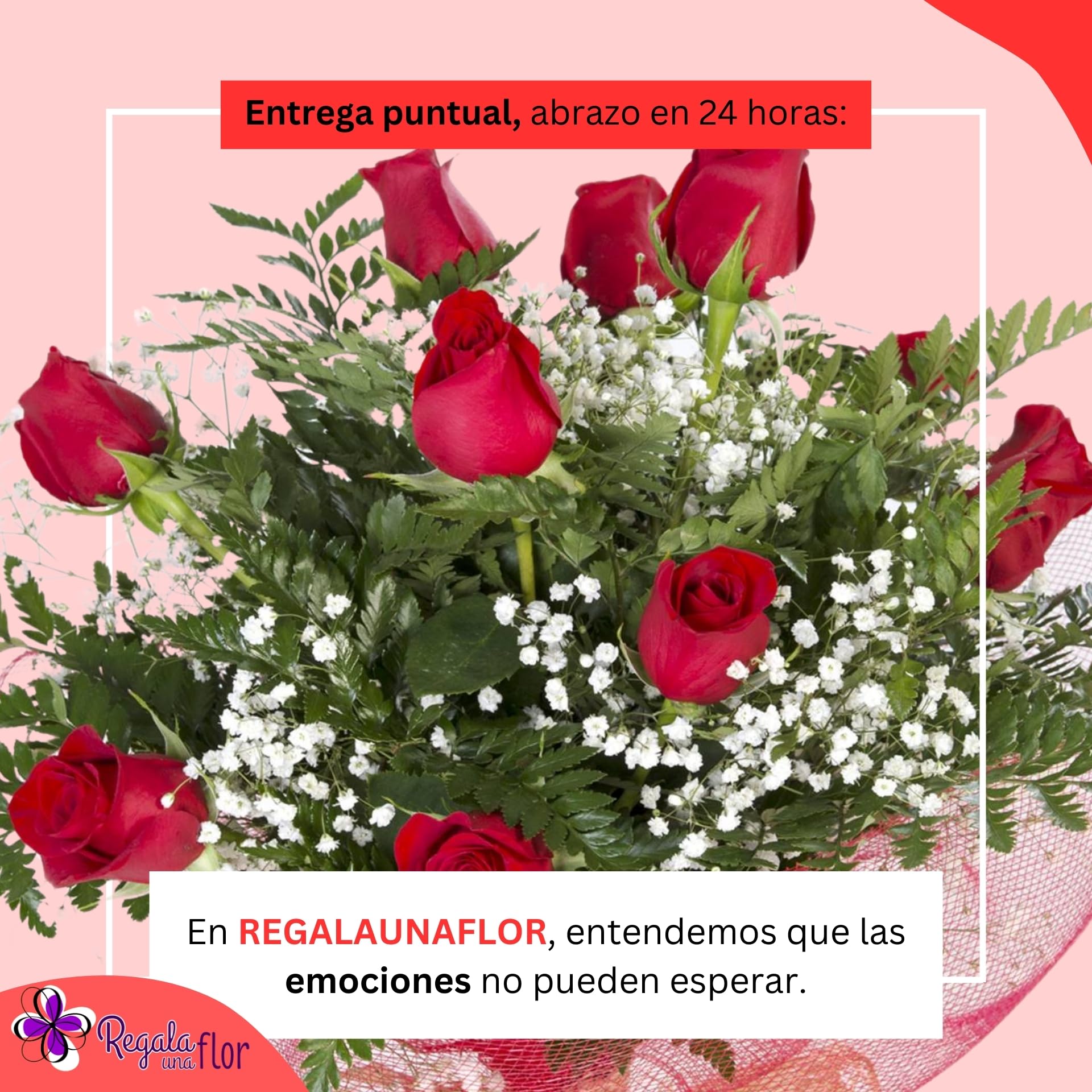 REGALA UNA FLOR | Ramo de 12 rosas naturales a domicilio | Entrega en 24 horas de Lunes a Sábado | Con tarjeta de dedicatoria | 12 rosas rojas