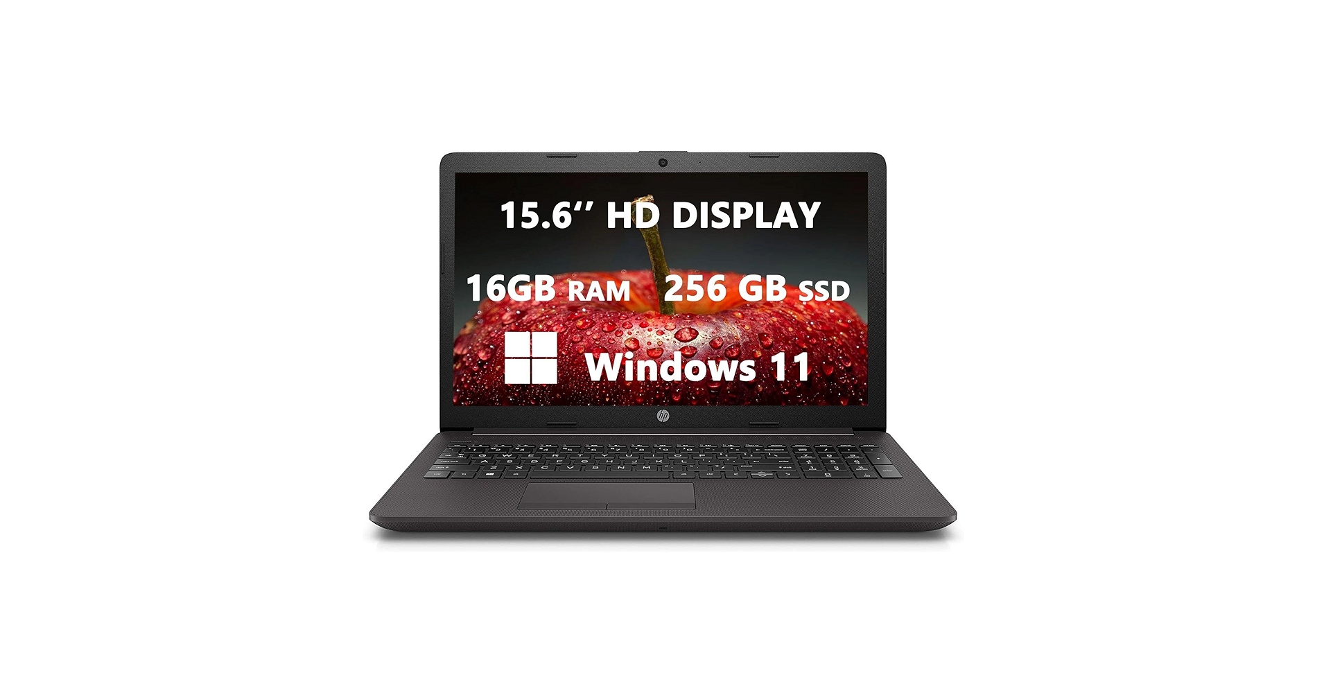 Amazon.com: HP 250 G7 15.6'' HD Computer Laptops for Student