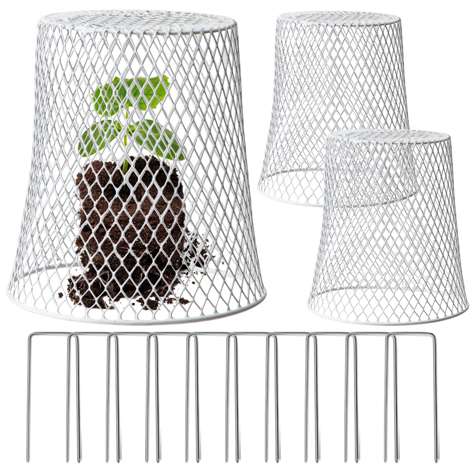 Cloches De Protection Pour Plantes En Métal - Lot De 3 Avec 10 Piquets