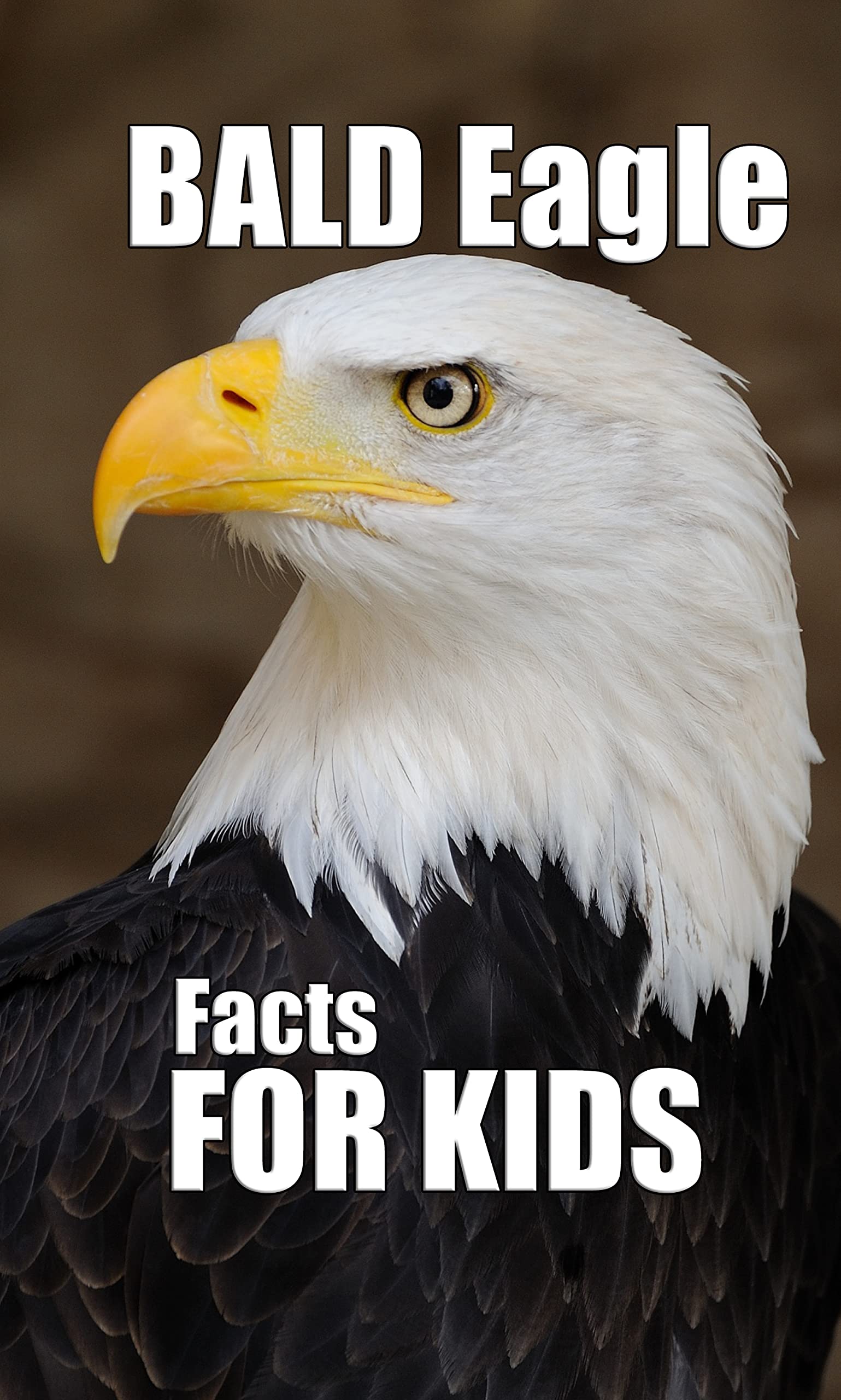 Buy Bald Eagle Facts for Kids: Interesting Facts About Bald Eagles