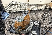 Review Image by Amazon Customer Amazon Customer