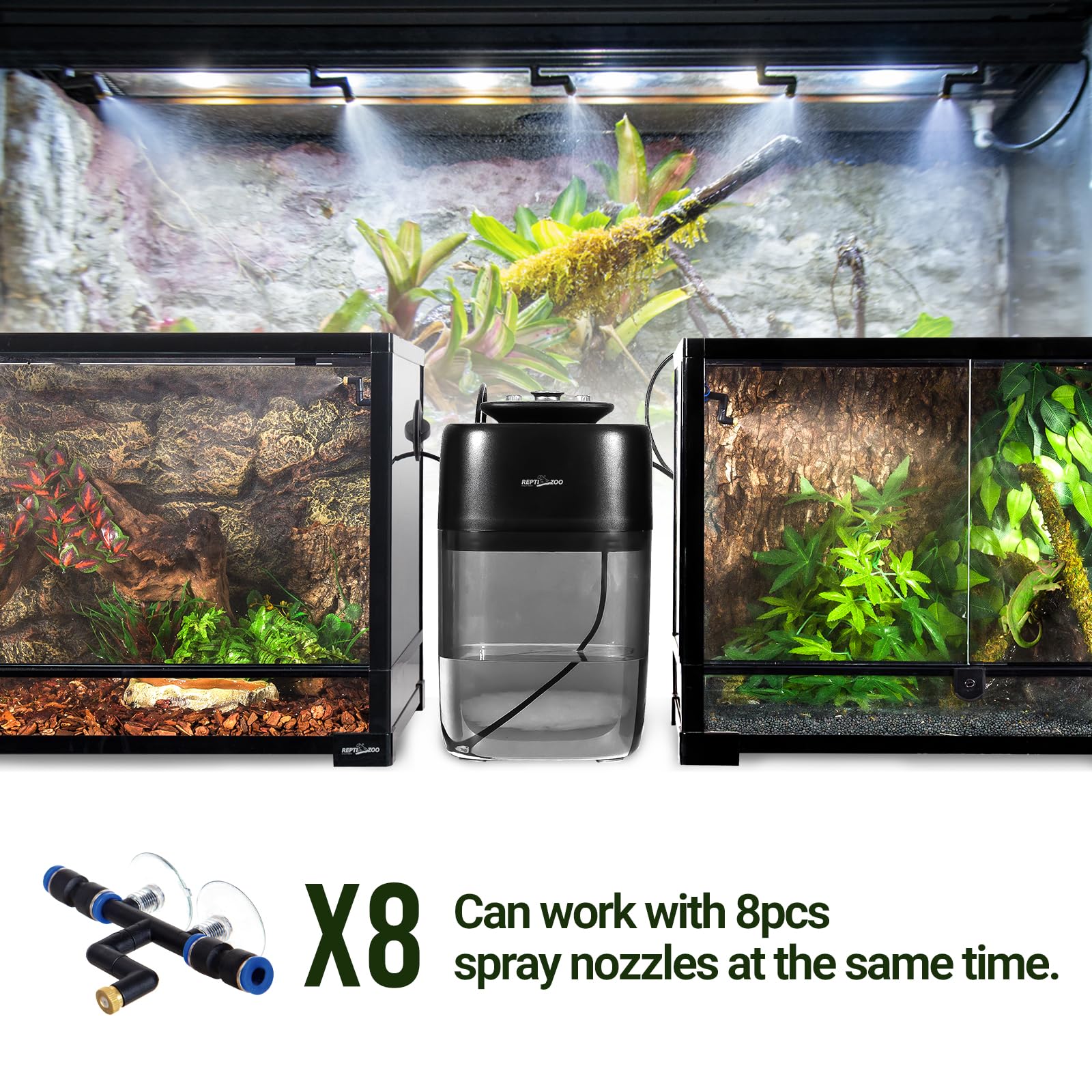 Amazon.co.jp: REPTI ZOO(レプティズー) 10L 爬虫類ミスター 爬虫類