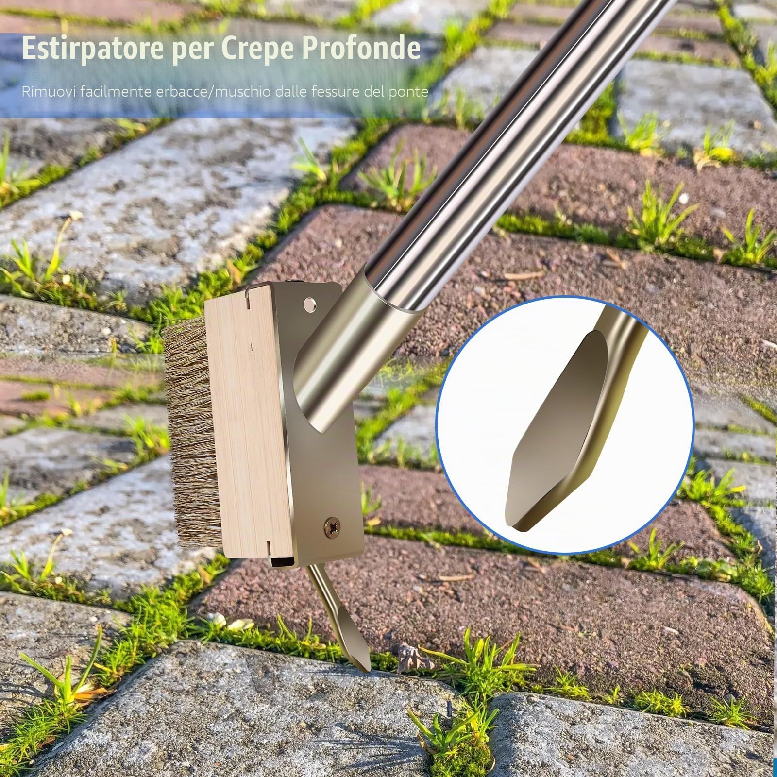 Spazzola per Rimuovere Erbacce Le fughe del Muschio, con Manico Staccabile da 165cm, per pavimentazioni, terrazze, vialetti, Fessure, 2 testine in Filo Metallico con estrattore per Erbacce