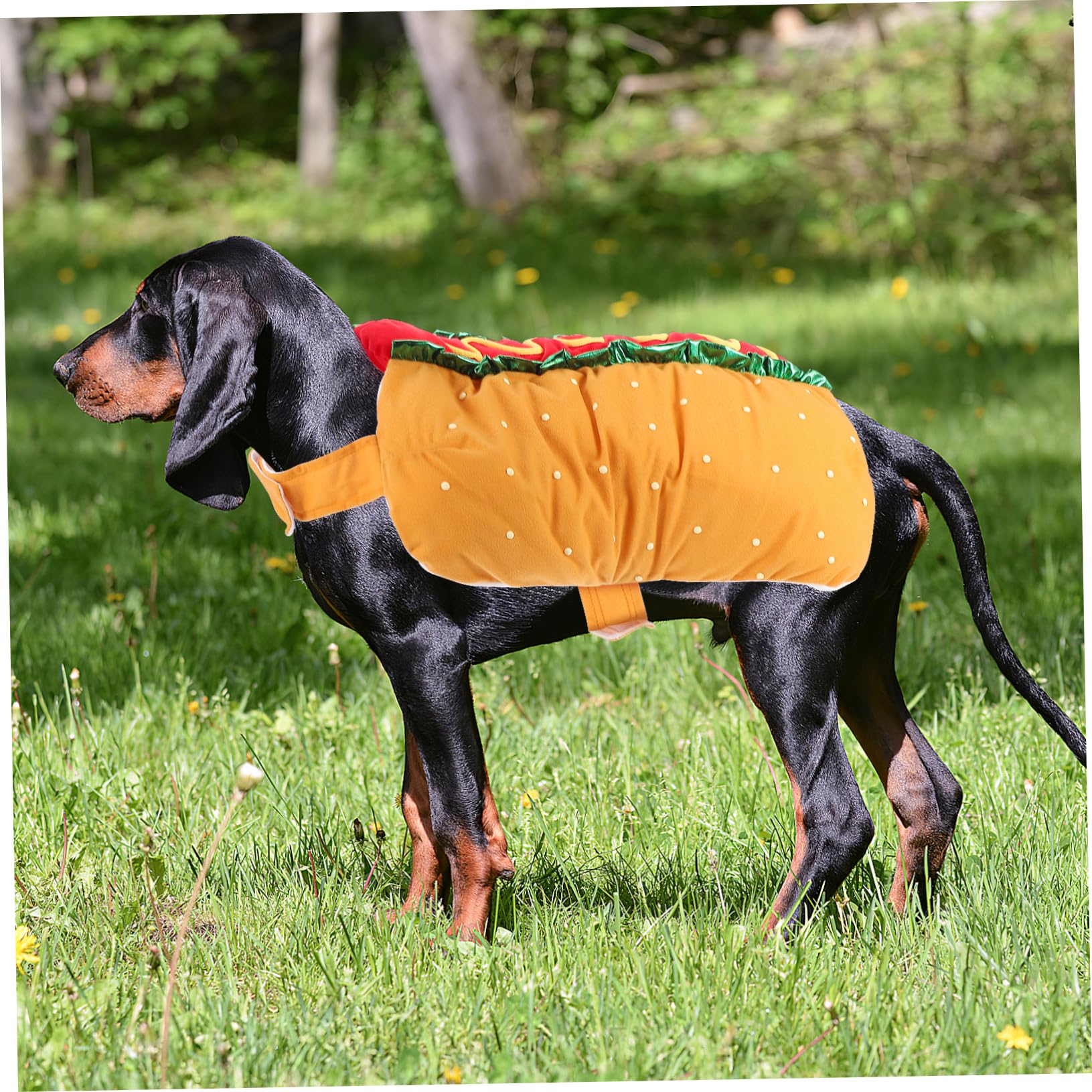 BESTonZON Costume per Animali Poliestere Leggero per Gatto e Cane Carnevale Natale