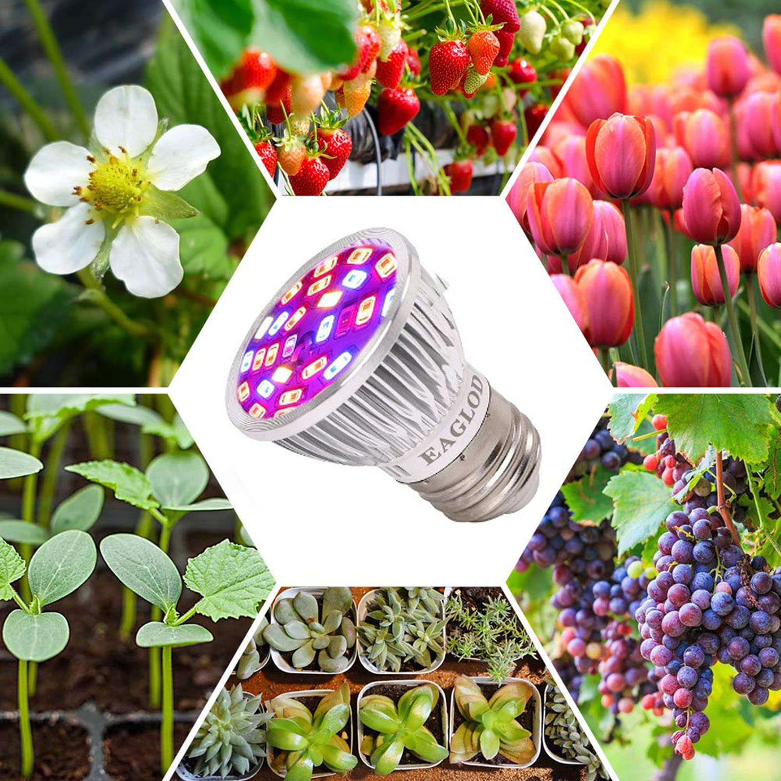20W żarówka LED do uprawy, żarówki roślinne pełne spektrum dla roślin domowych wysiew Bloom ogród szklarniowy rośliny hydroponiczne