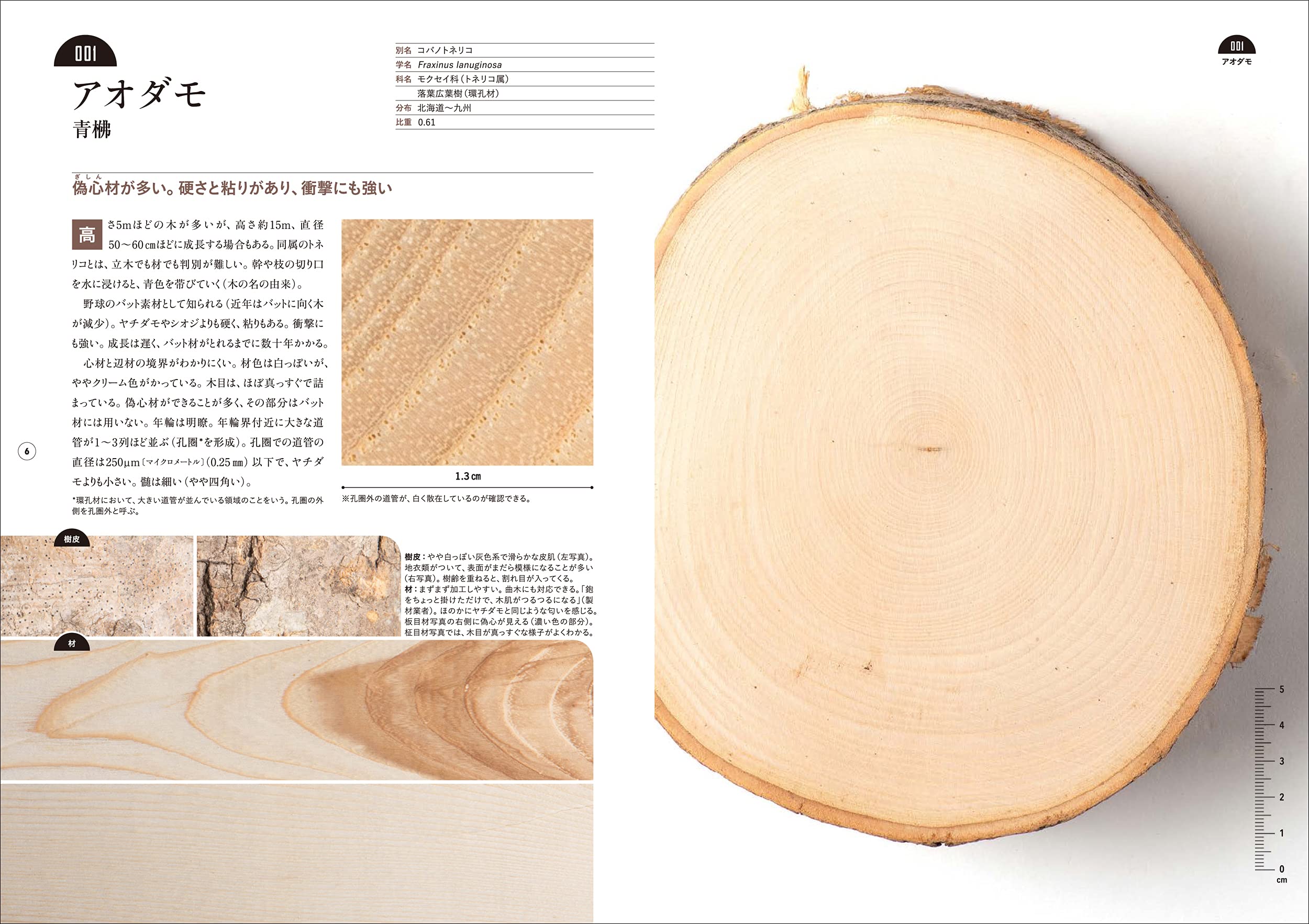 板目 柾目 木口がわかる木の図鑑 日本の有用種101 西川 栄明 小泉 章夫 配送料無料