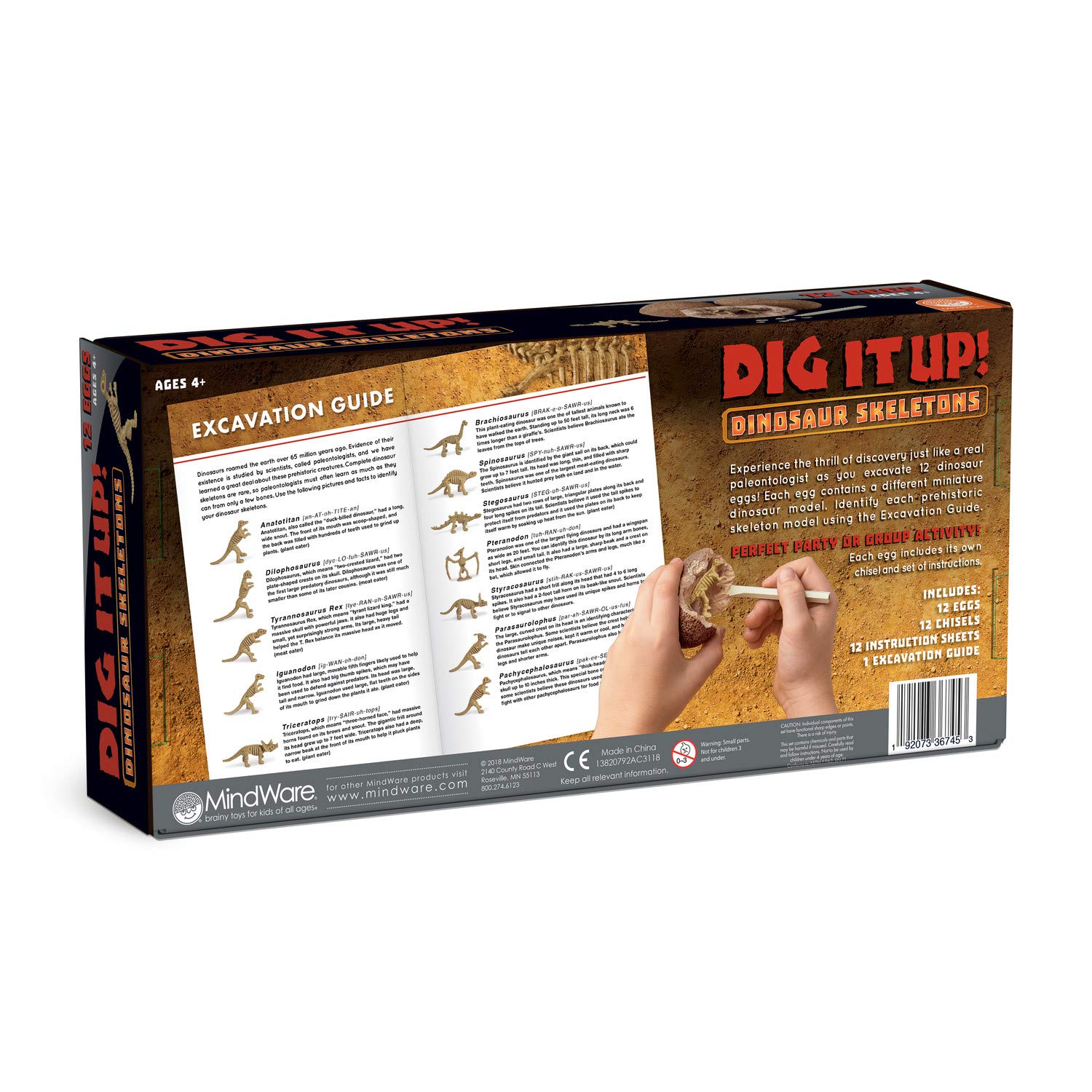 MindWare Dig It Up! Dinosaur Skeleton Eggs Excavation kit - Comes with 12 Clay Eggs, 12 Chisel Tools and 12 Instruction Sheets - Image 9